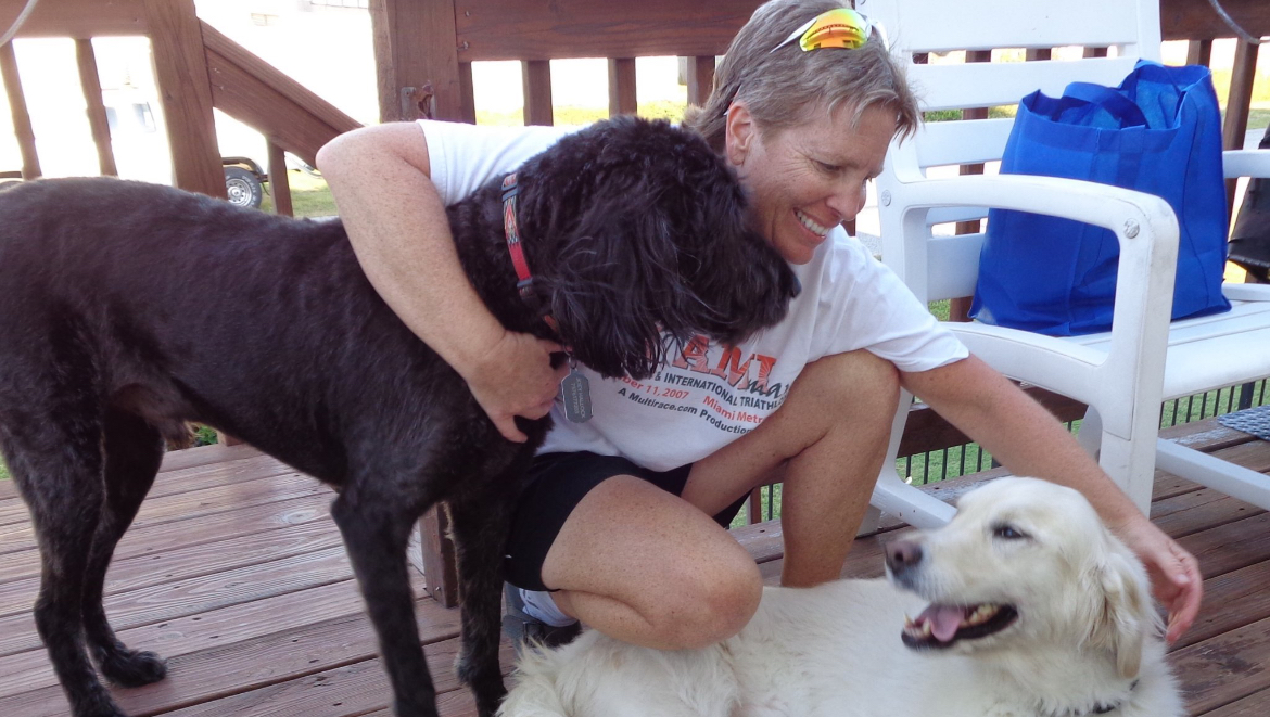 Help Sue Raise $15k for Eastern Shore Animals photo