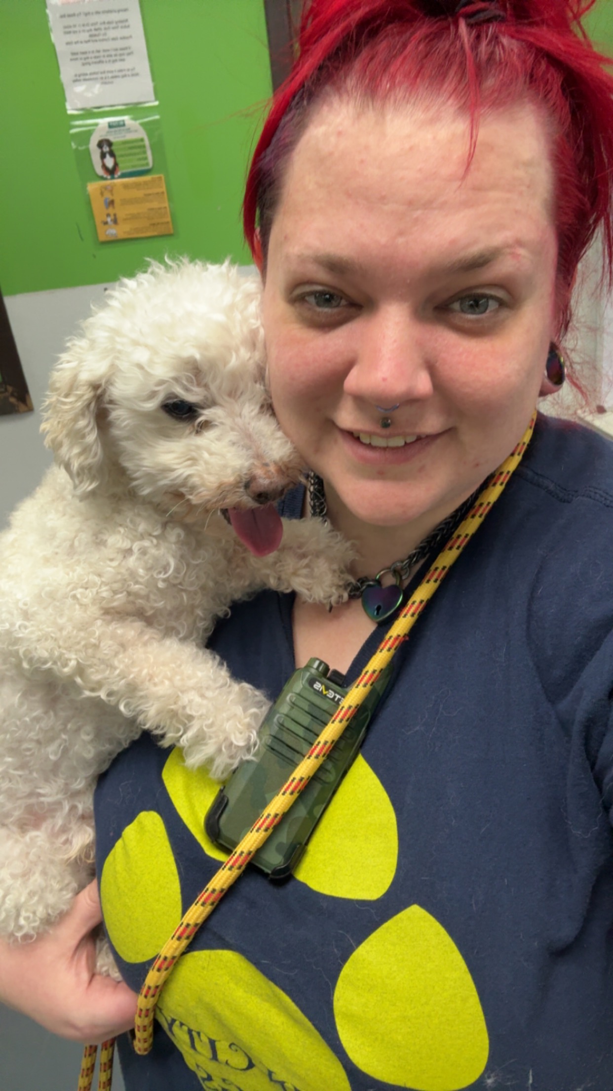 Service Dog for Grey: A Path to Healing campaign photo, 2 of 4