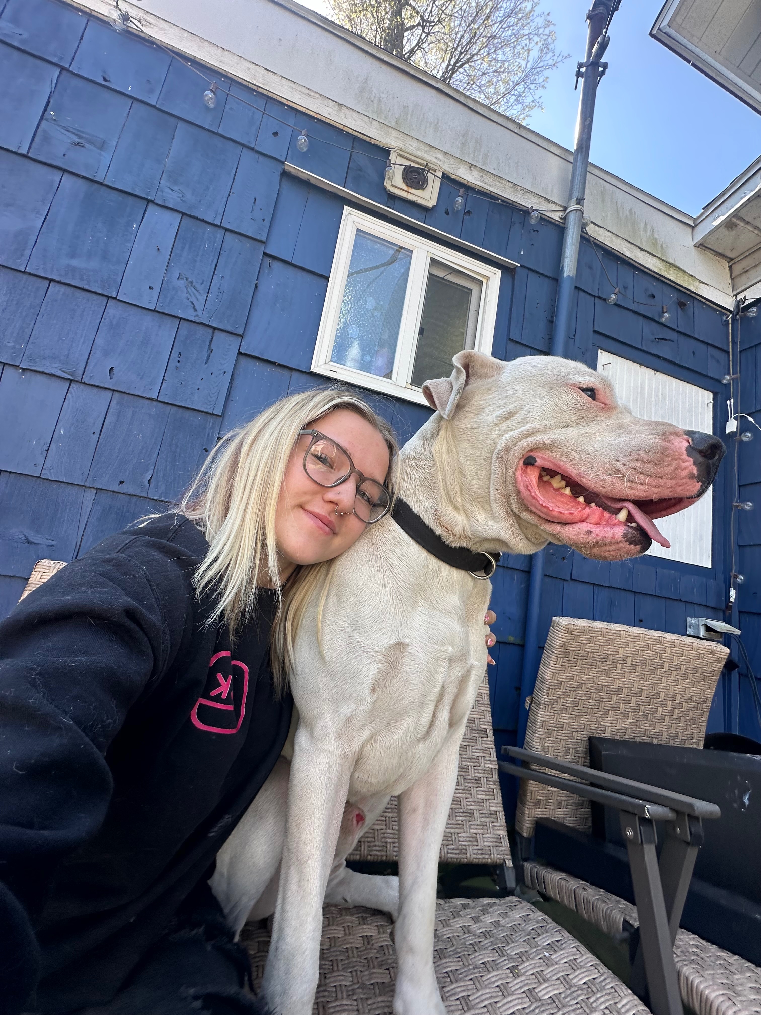 Save Blue: Urgent Surgery Needed campaign photo, 2 of 6