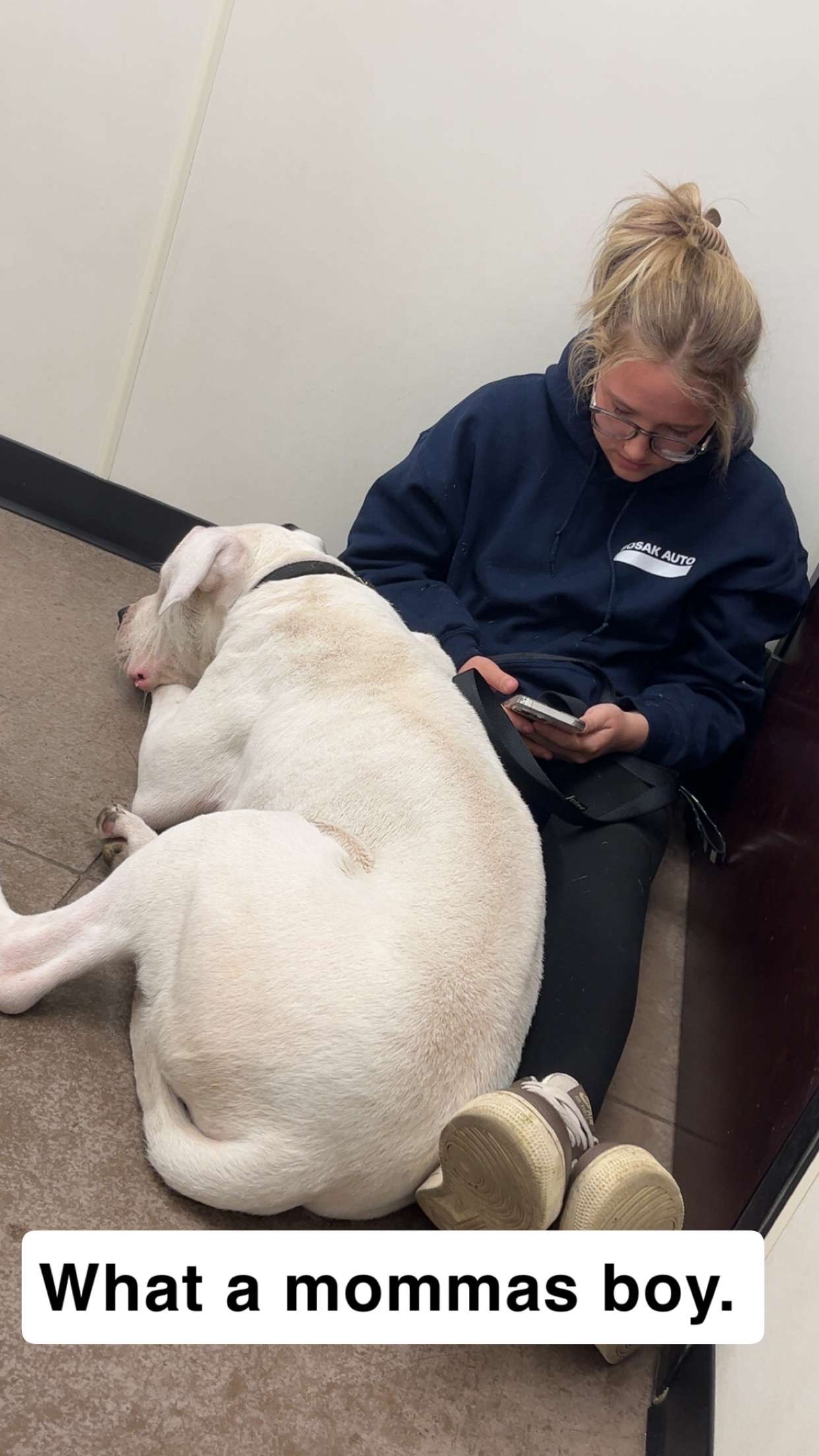 Save Blue: Urgent Surgery Needed campaign photo, 4 of 6