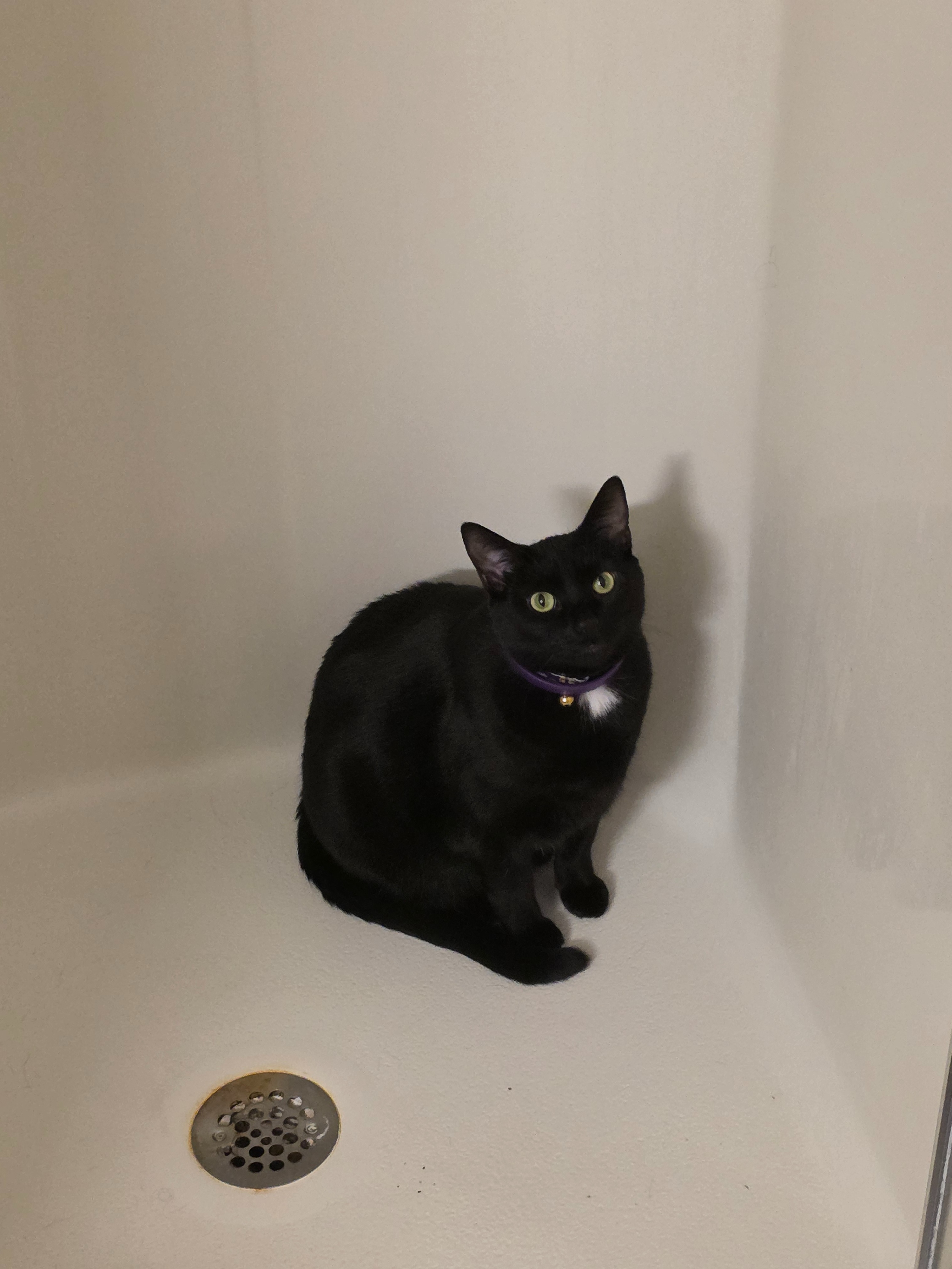 Help Us Keep Our Apartment campaign photo, 2 of 8