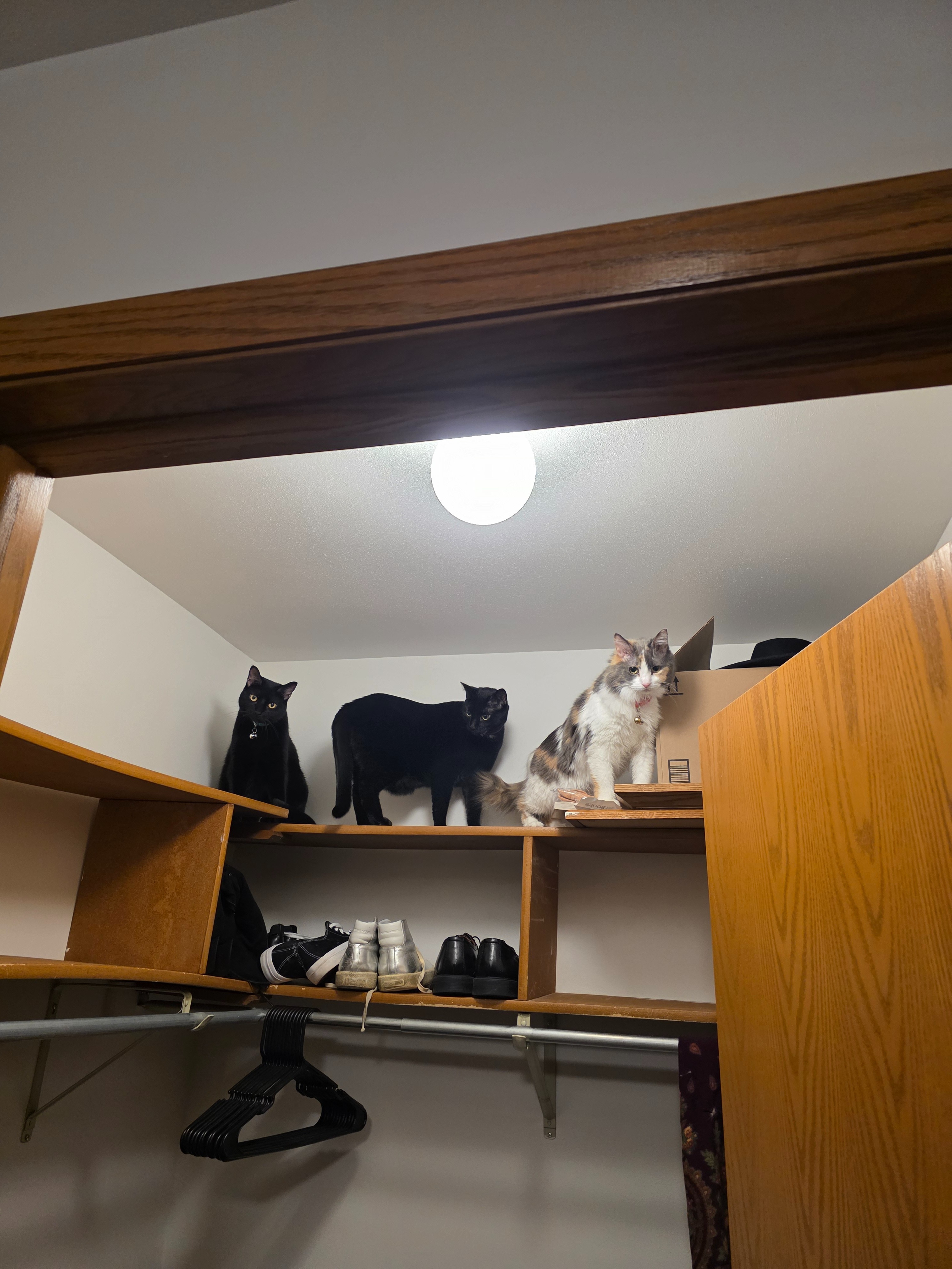 Help Us Keep Our Apartment campaign photo, 4 of 8