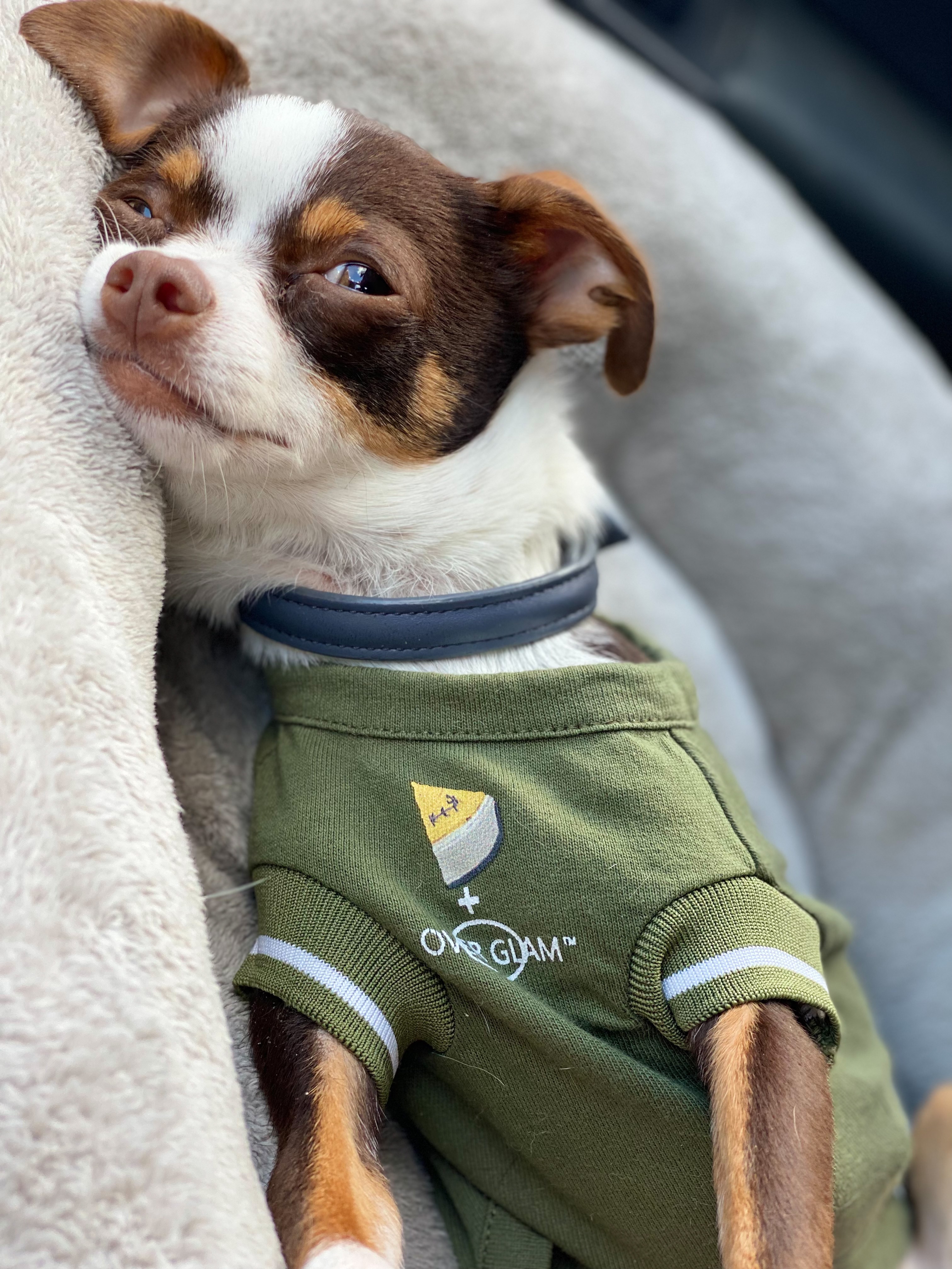 Give Milo the Gift of Mobility campaign photo, 4 of 8