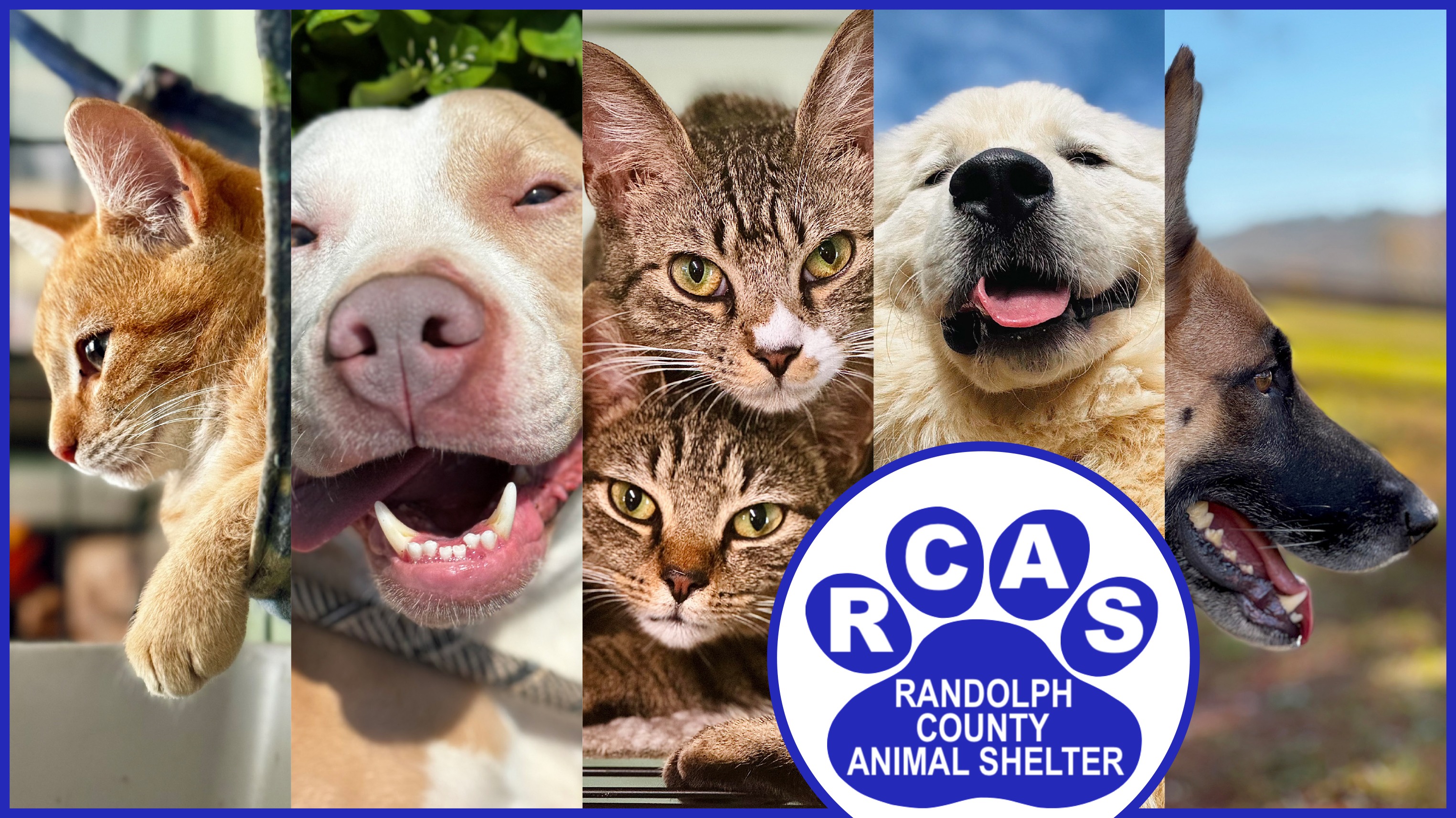 Support Randolph County Animal Shelter's Lifesaving Mission campaign photo, 2 of 4