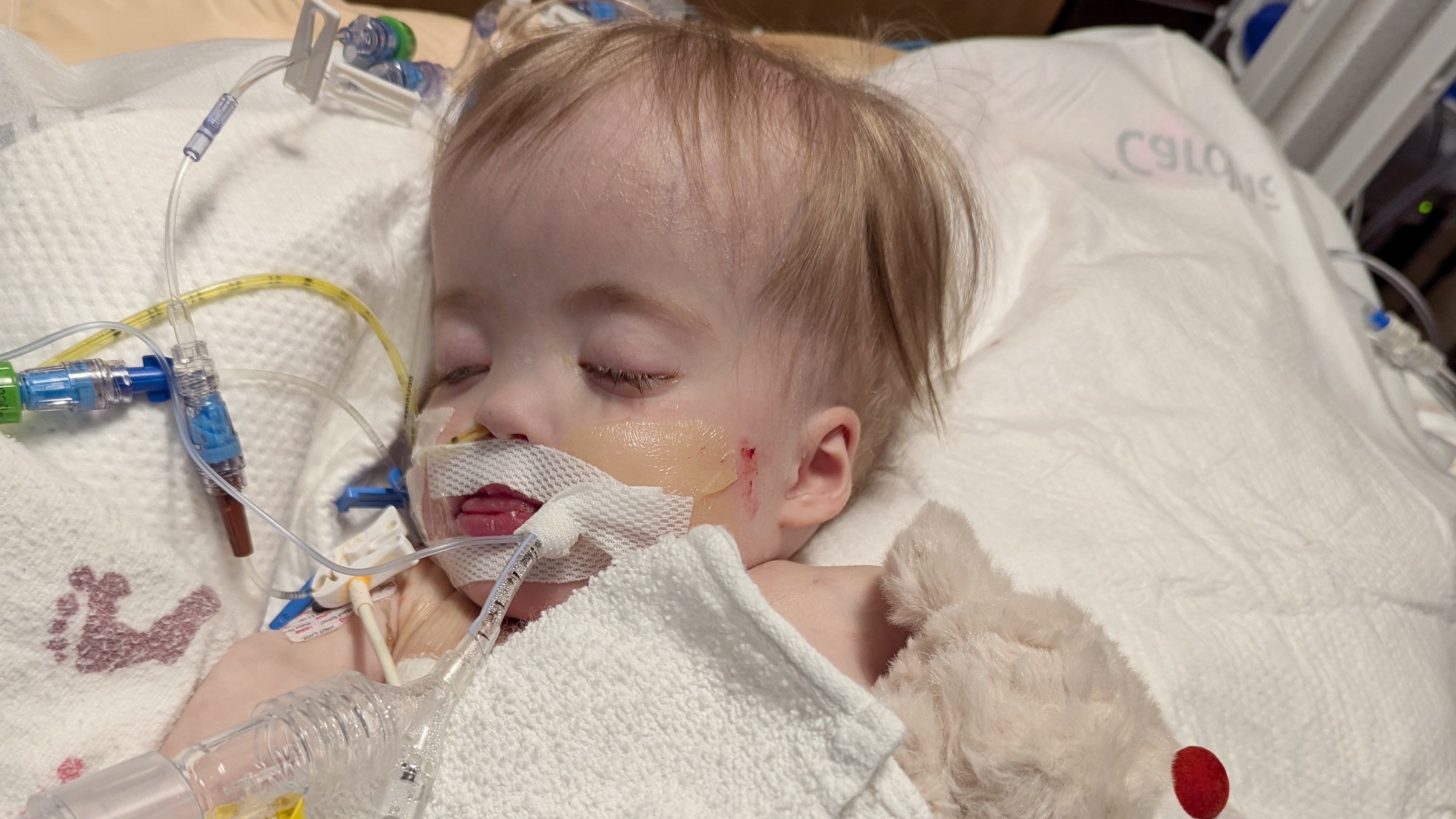 Help support Neil and Amanda Dougherty’s family expenses campaign photo, 5 of 6