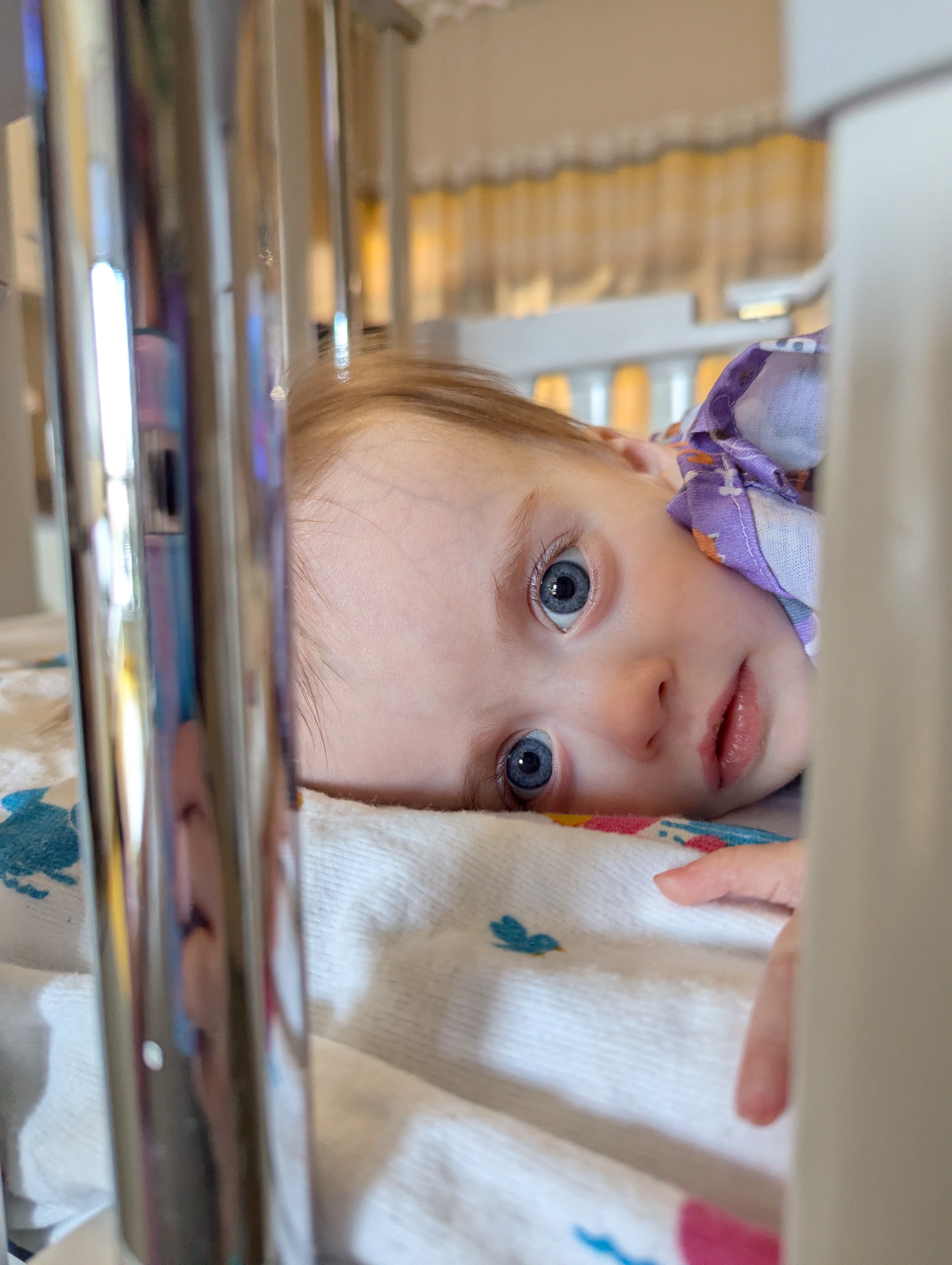 Help support Neil and Amanda Dougherty’s family expenses campaign photo, 4 of 6