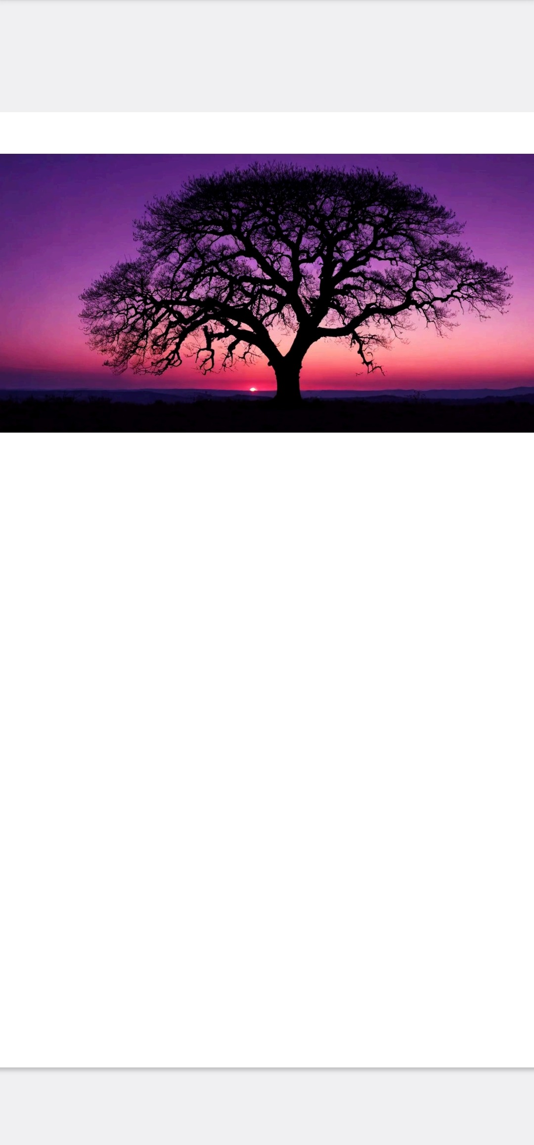 User-uploaded image 1