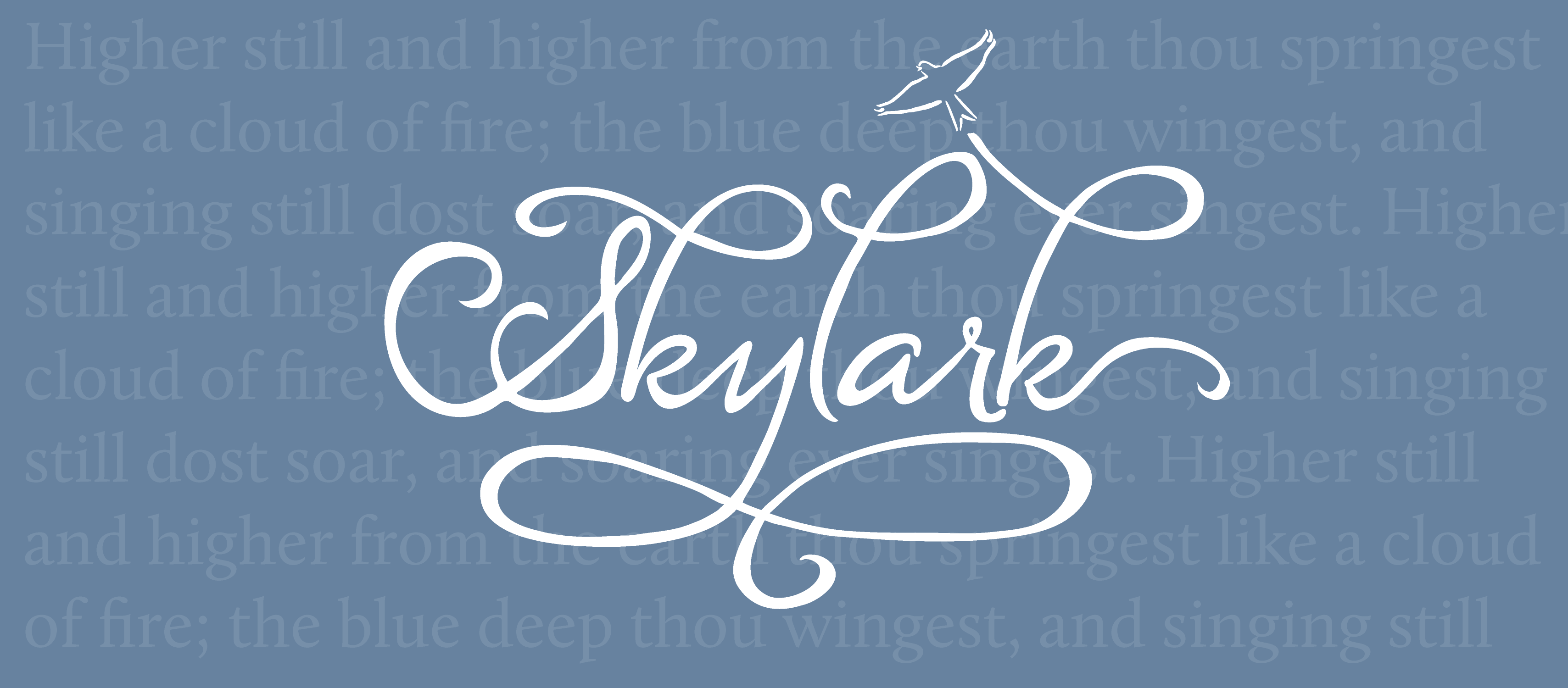 Skylark Quartet Top Ten International Fundraiser! campaign photo, 2 of 4