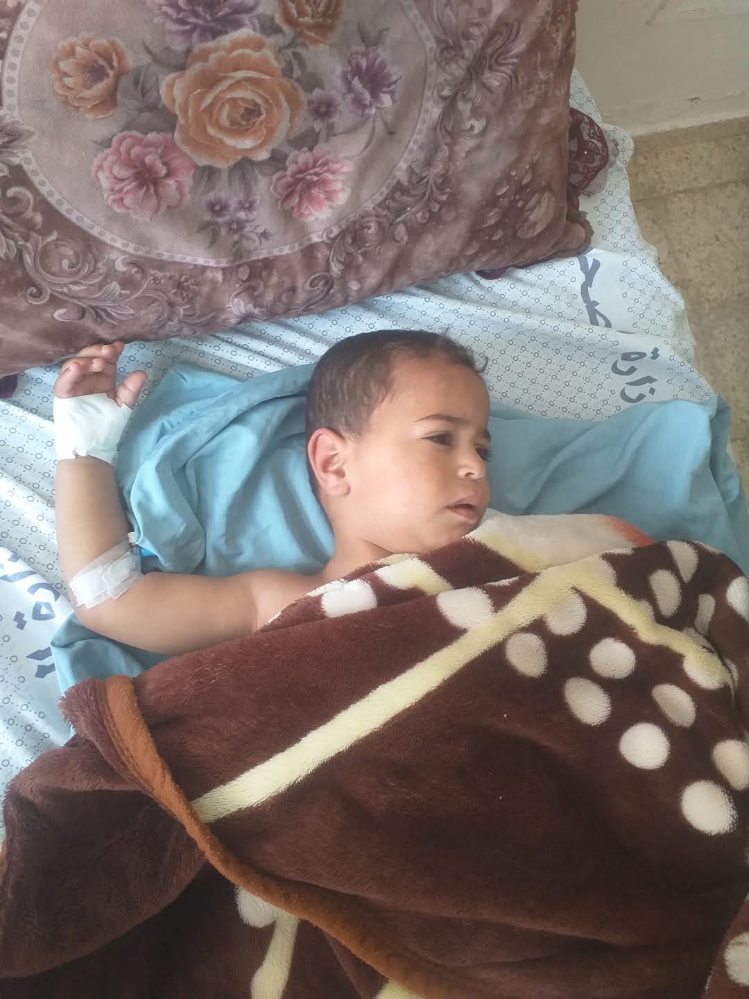 Help my family in Gaza survive and provide some food. campaign photo, 6 of 7