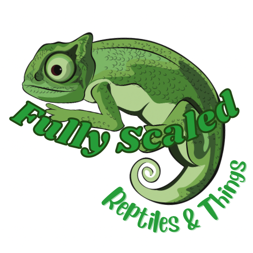 Fully Scaled Reptiles & Things campaign photo, 2 of 8