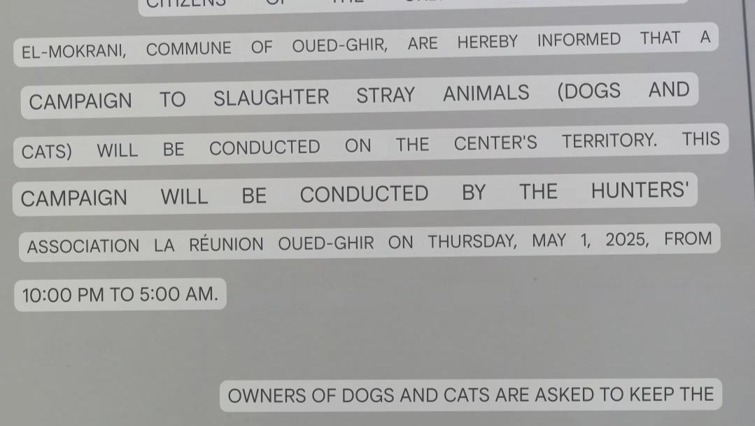 save these helpless souls