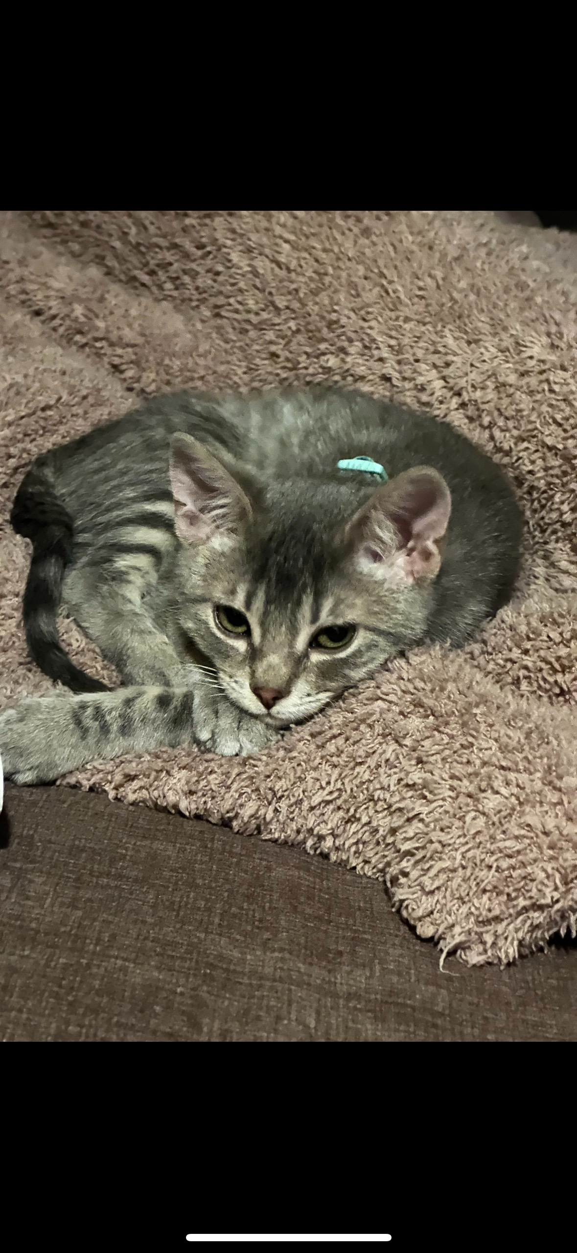 User-uploaded image 1