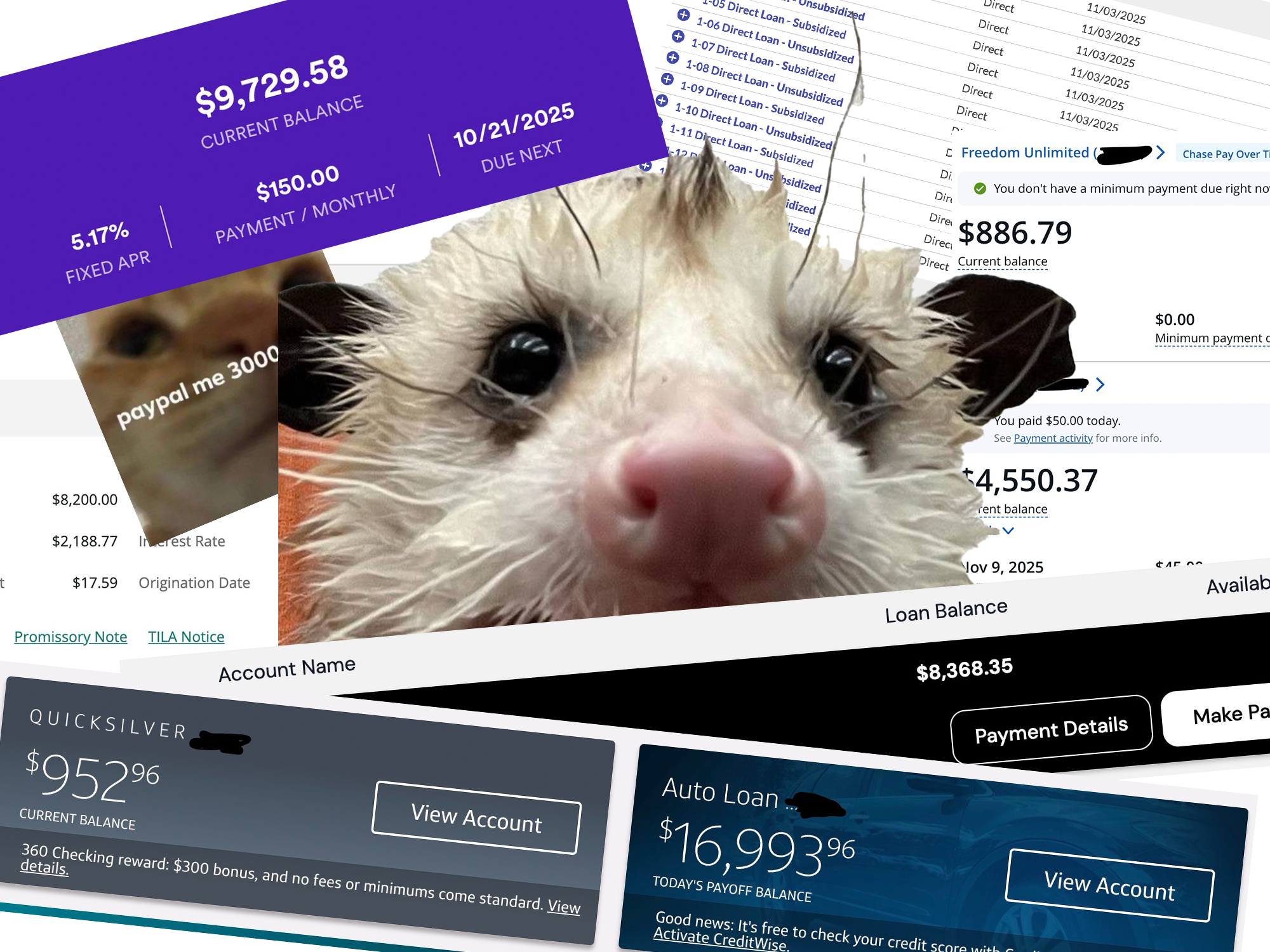 User-uploaded image 1