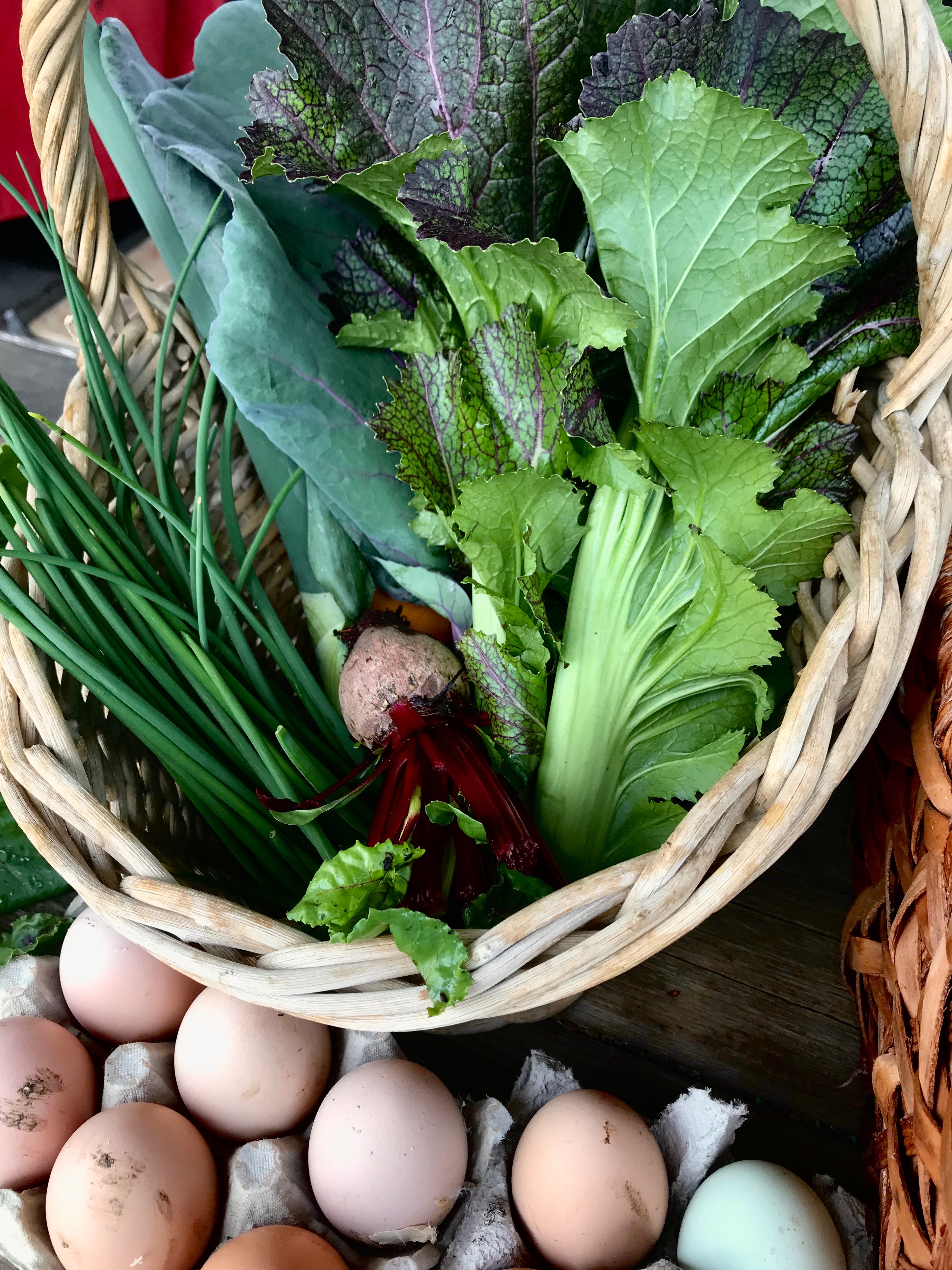 Grow Hope: Fresh Produce Free CSA campaign photo, 2 of 4