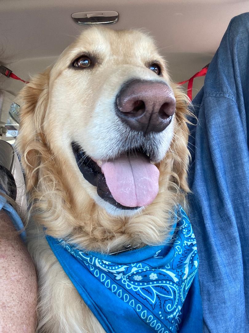 We Love You Chester and Are Here to Help You! campaign photo, 7 of 8
