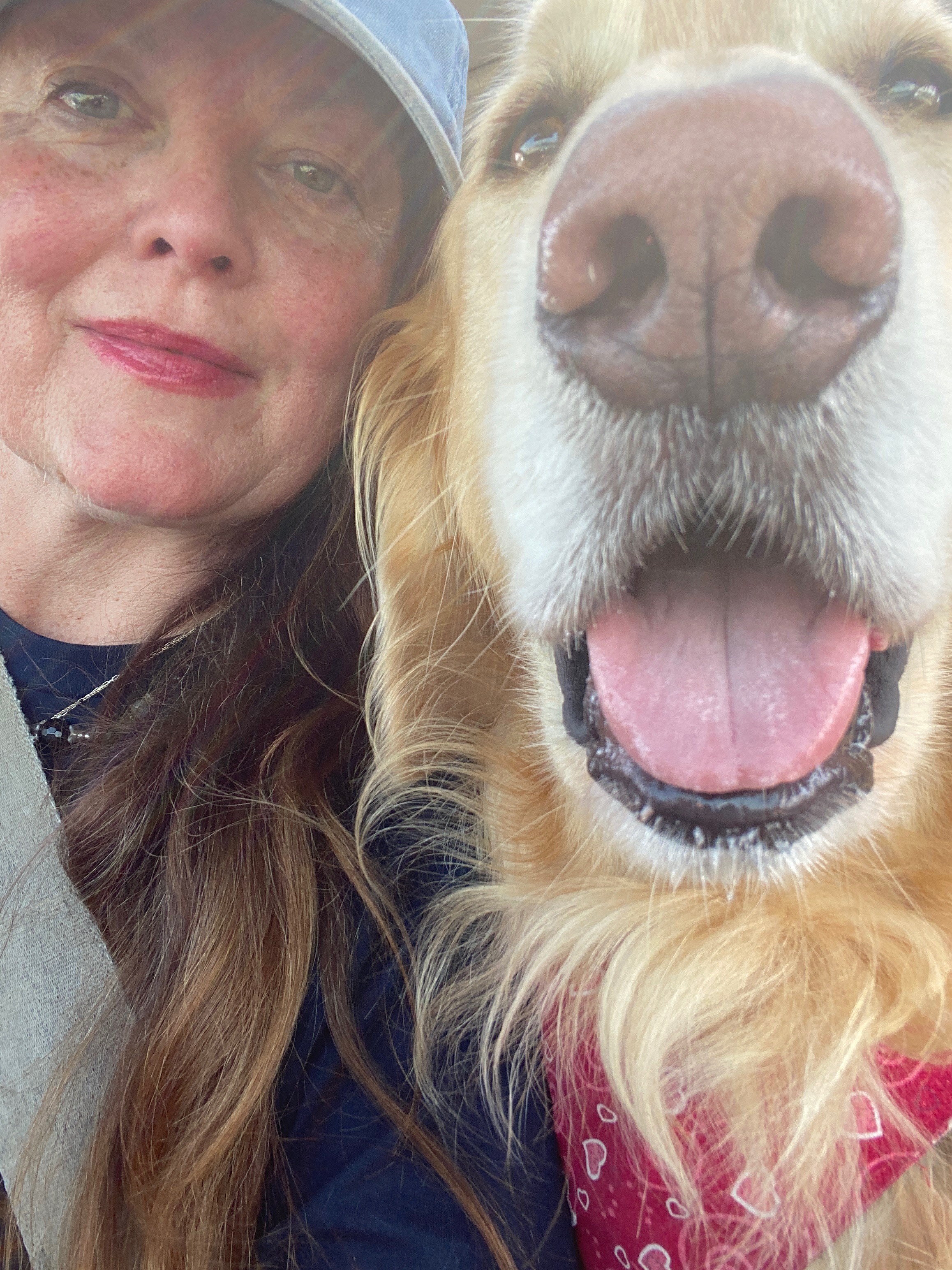 We Love You Chester and Are Here to Help You! campaign photo, 2 of 8