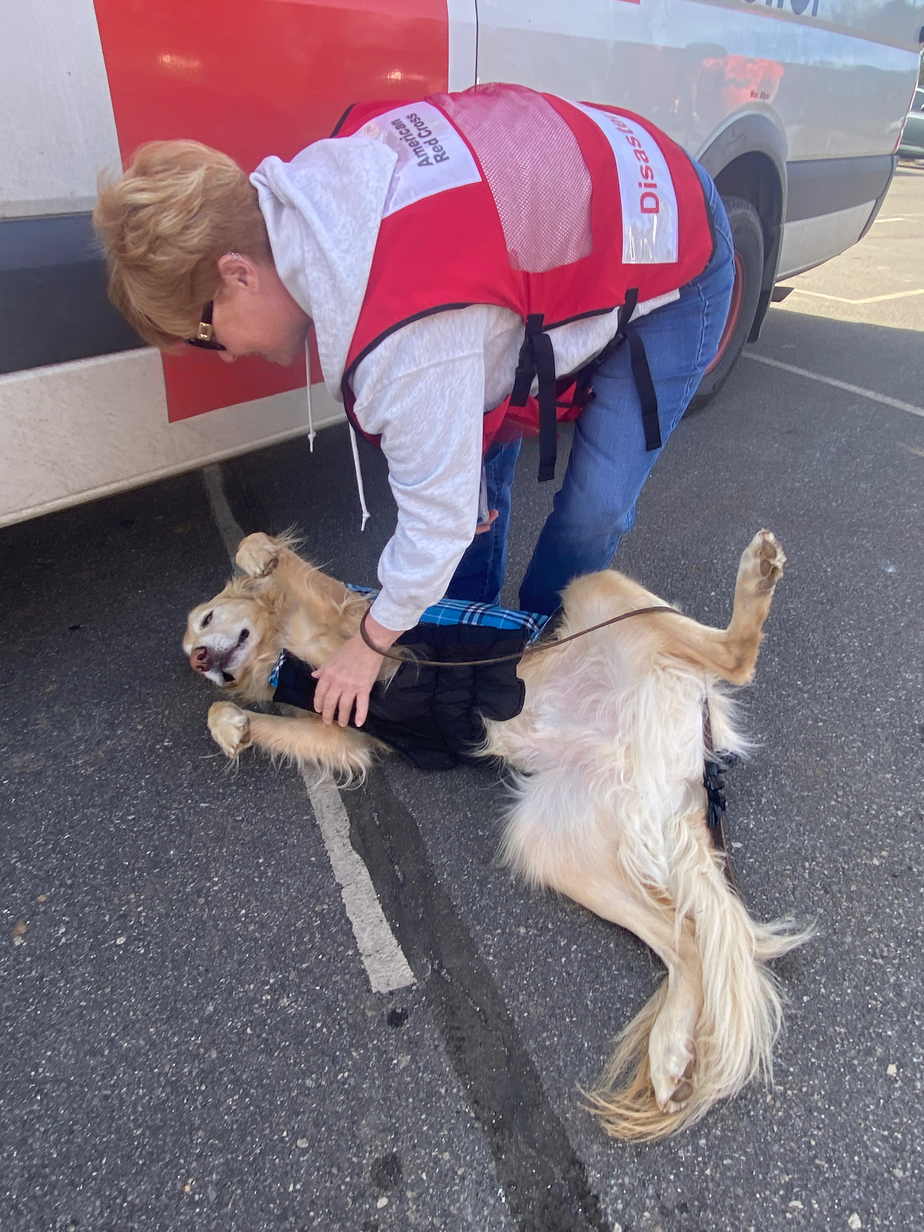We Love You Chester and Are Here to Help You! campaign photo, 5 of 8