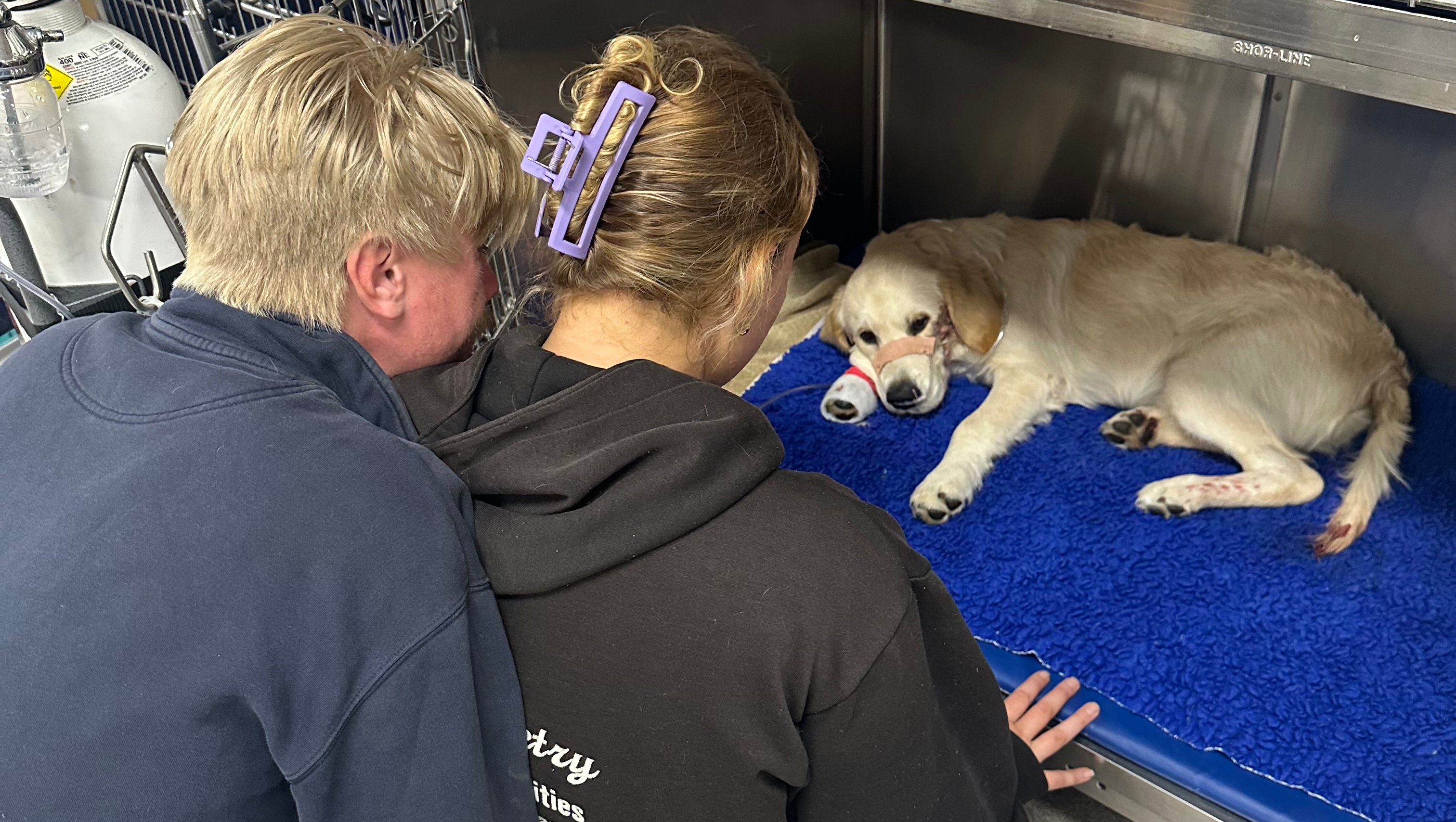 Fundraiser for Charlie Cole by Lisa and Steve Cole : Help save Dusty