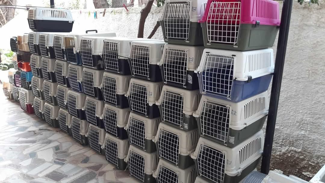 Animal Welfare Fund Eressos (AWF) campaign photo, 5 of 8