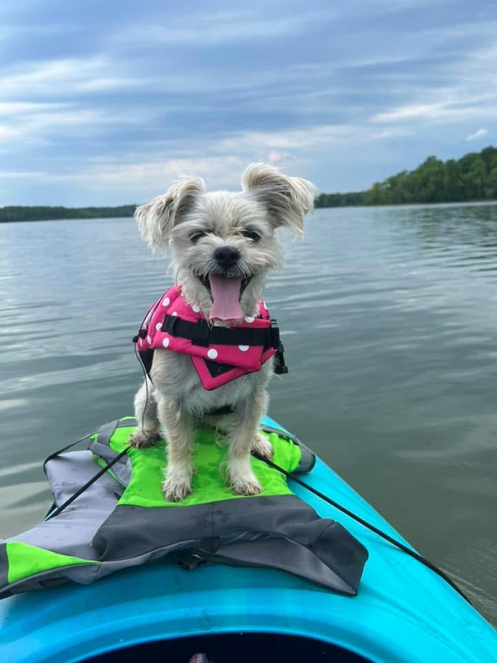 User-uploaded image 1