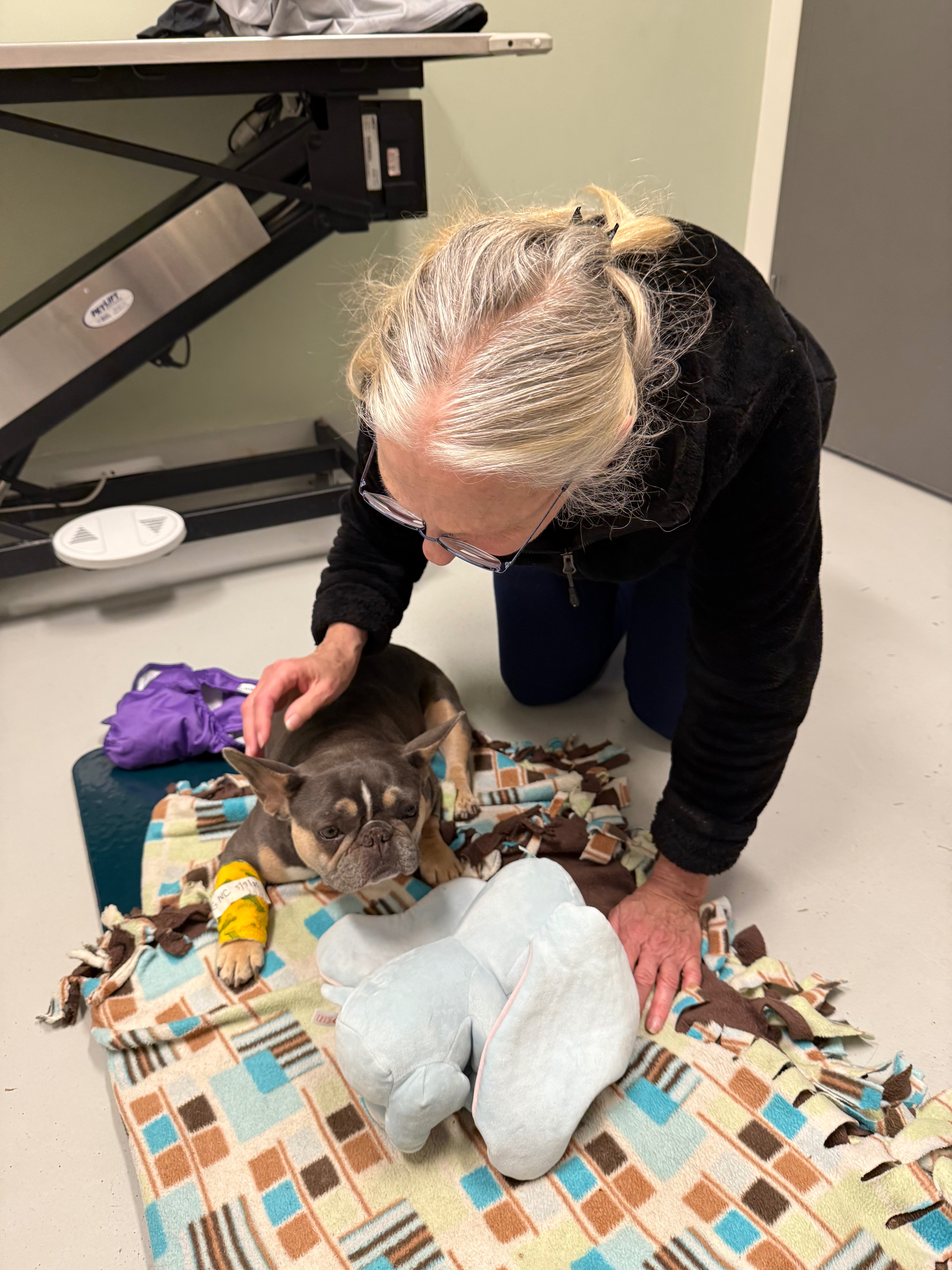 Urgent Surgery for Gigi at Cornell campaign photo, 6 of 7