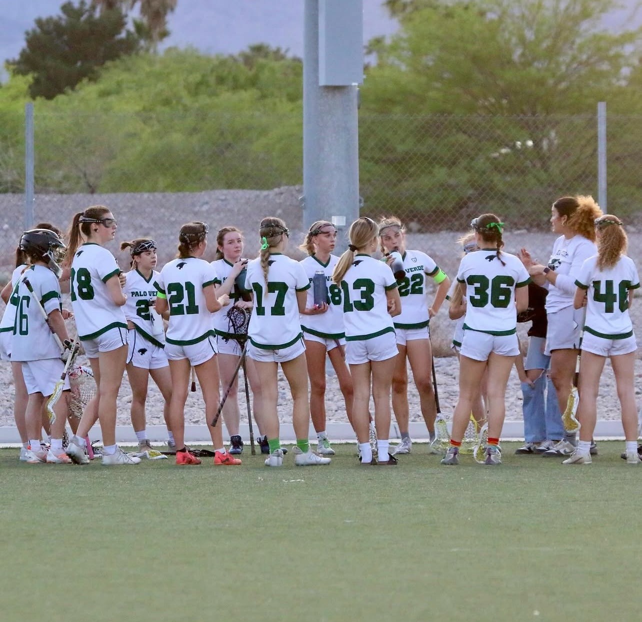 Support Palo Panthers' State Championship Run campaign photo, 4 of 5