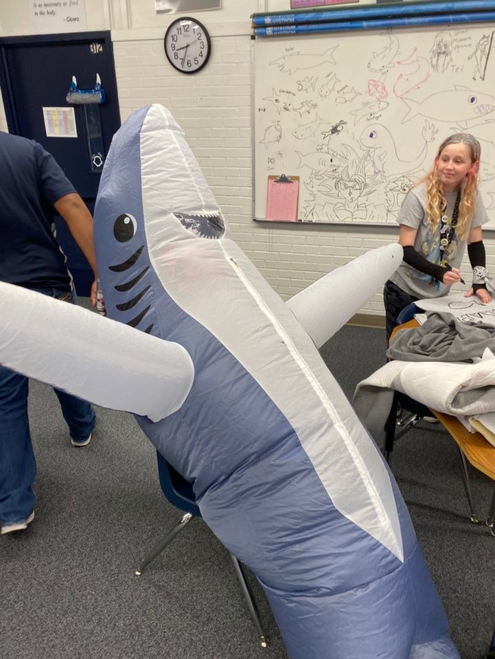 User-uploaded image 1