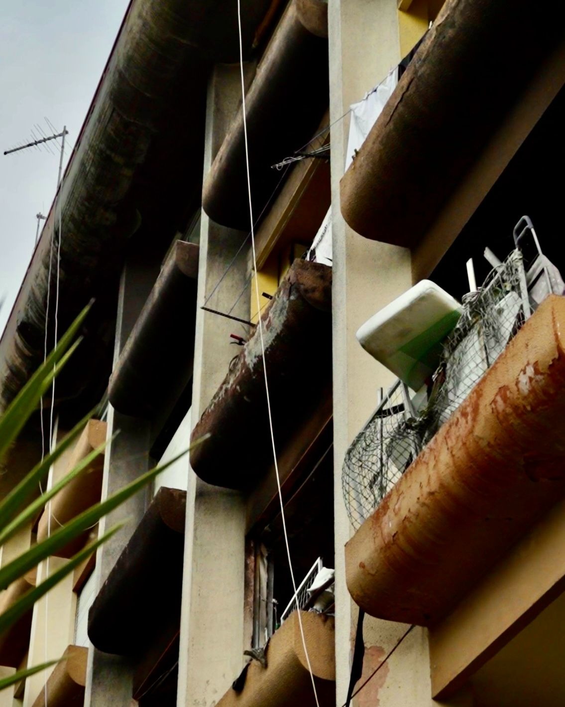 User-uploaded image 1