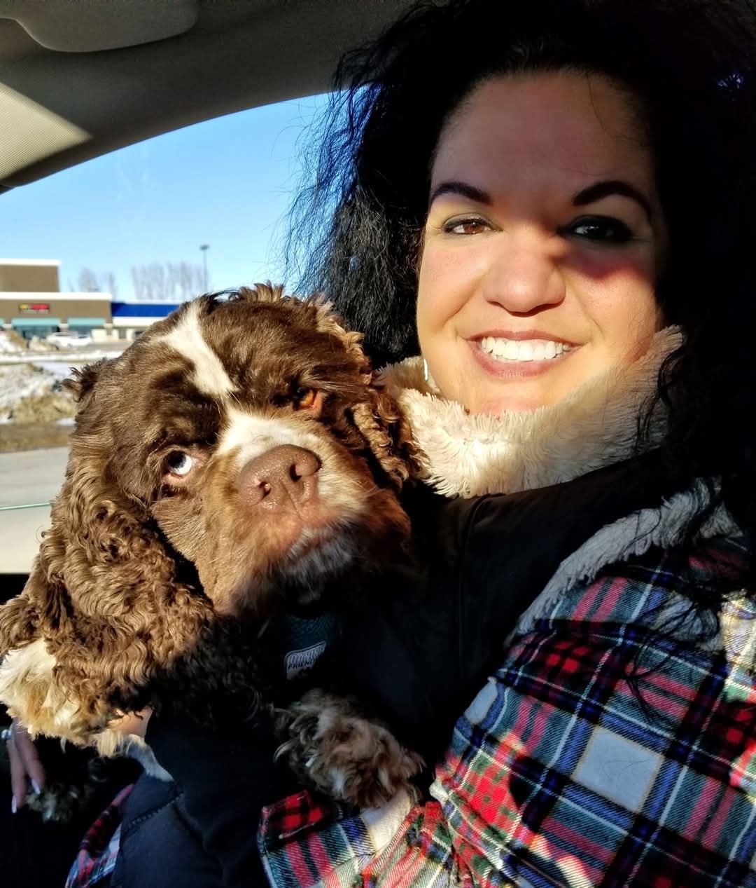 Help Romeo Get Back on His Paws – ACL Surgery Fund campaign photo, 2 of 8
