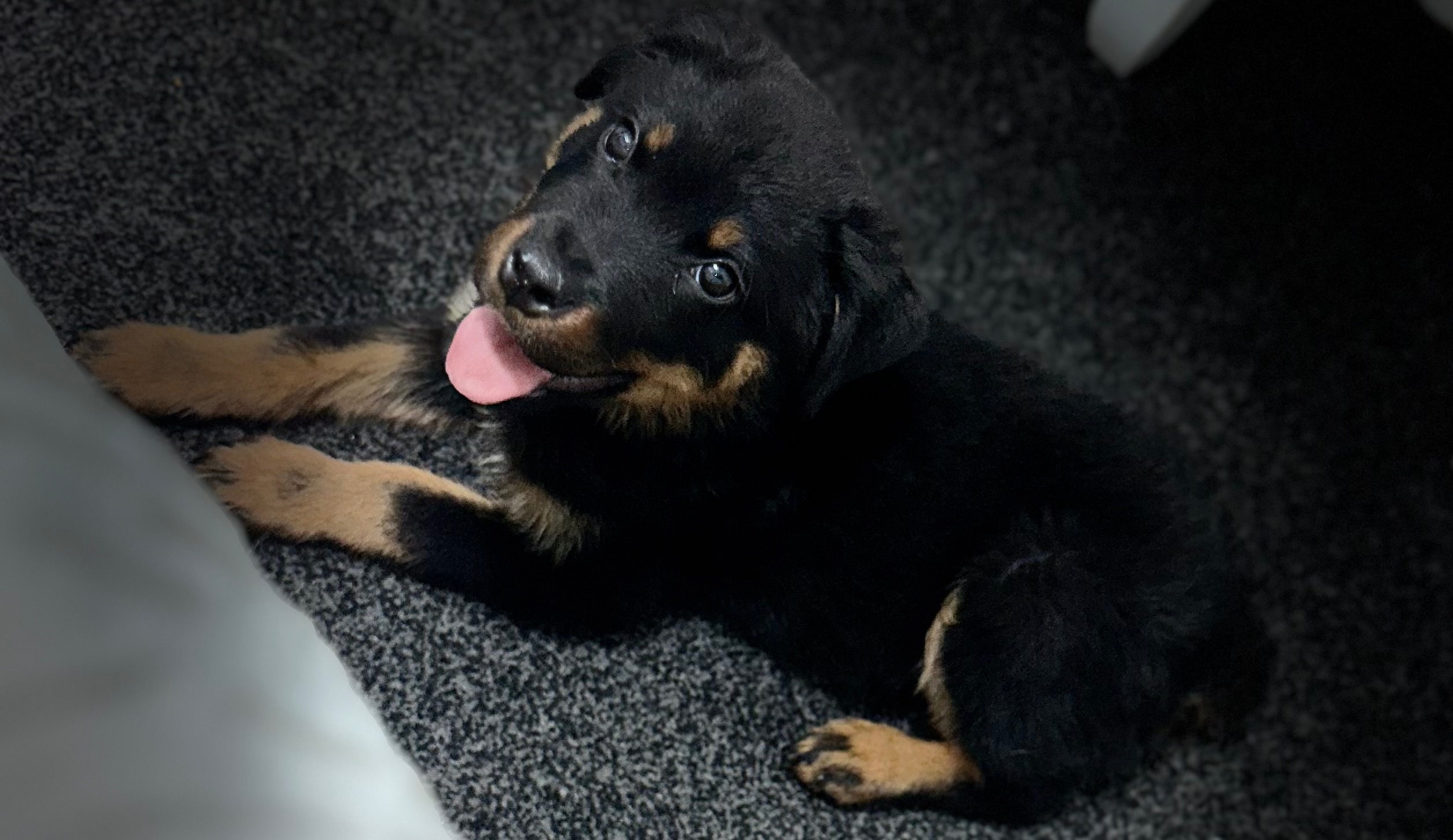 User-uploaded image 1