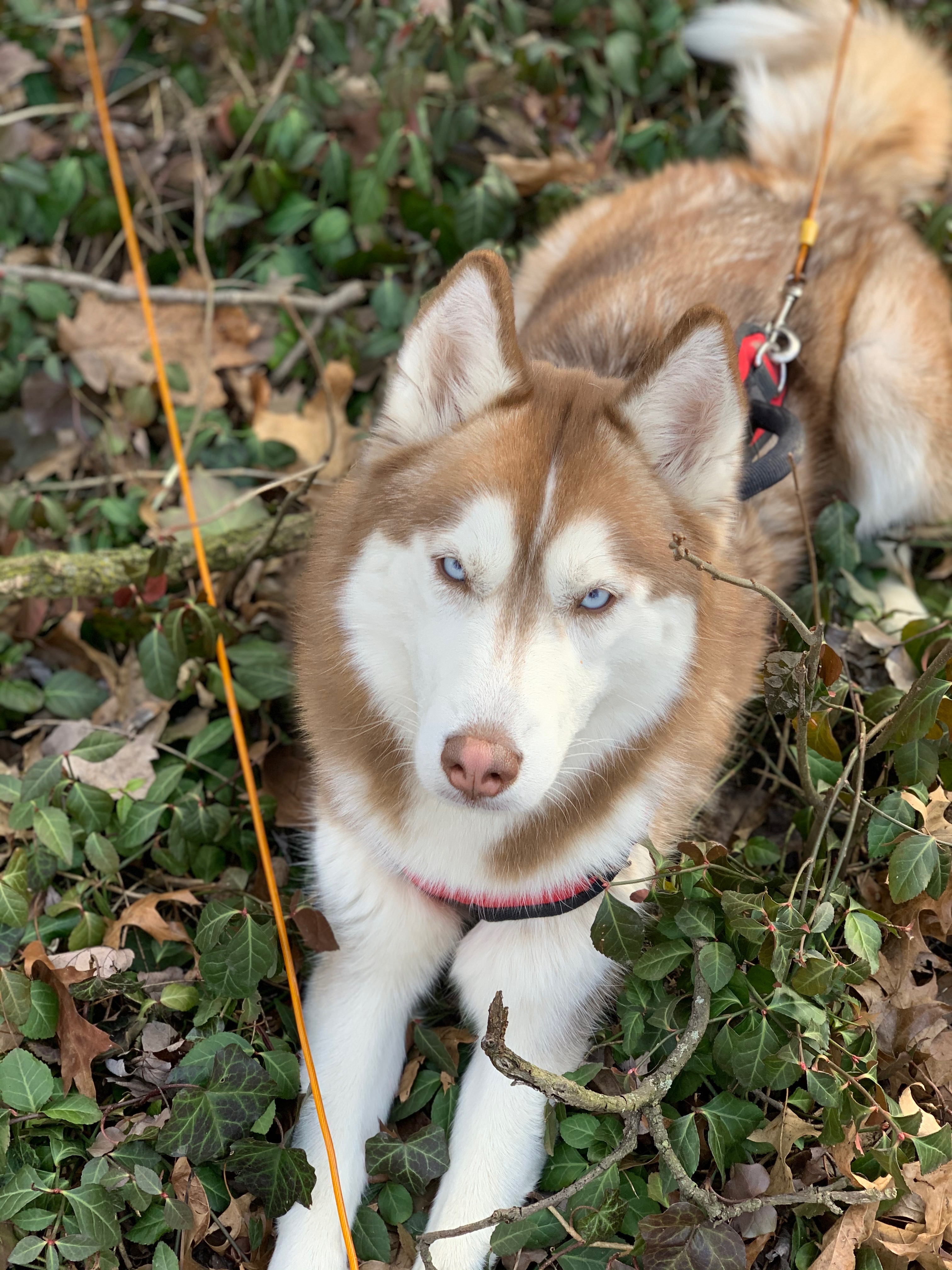 User-uploaded image 1