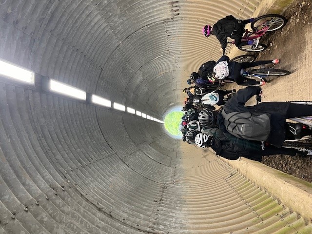 User-uploaded image 1