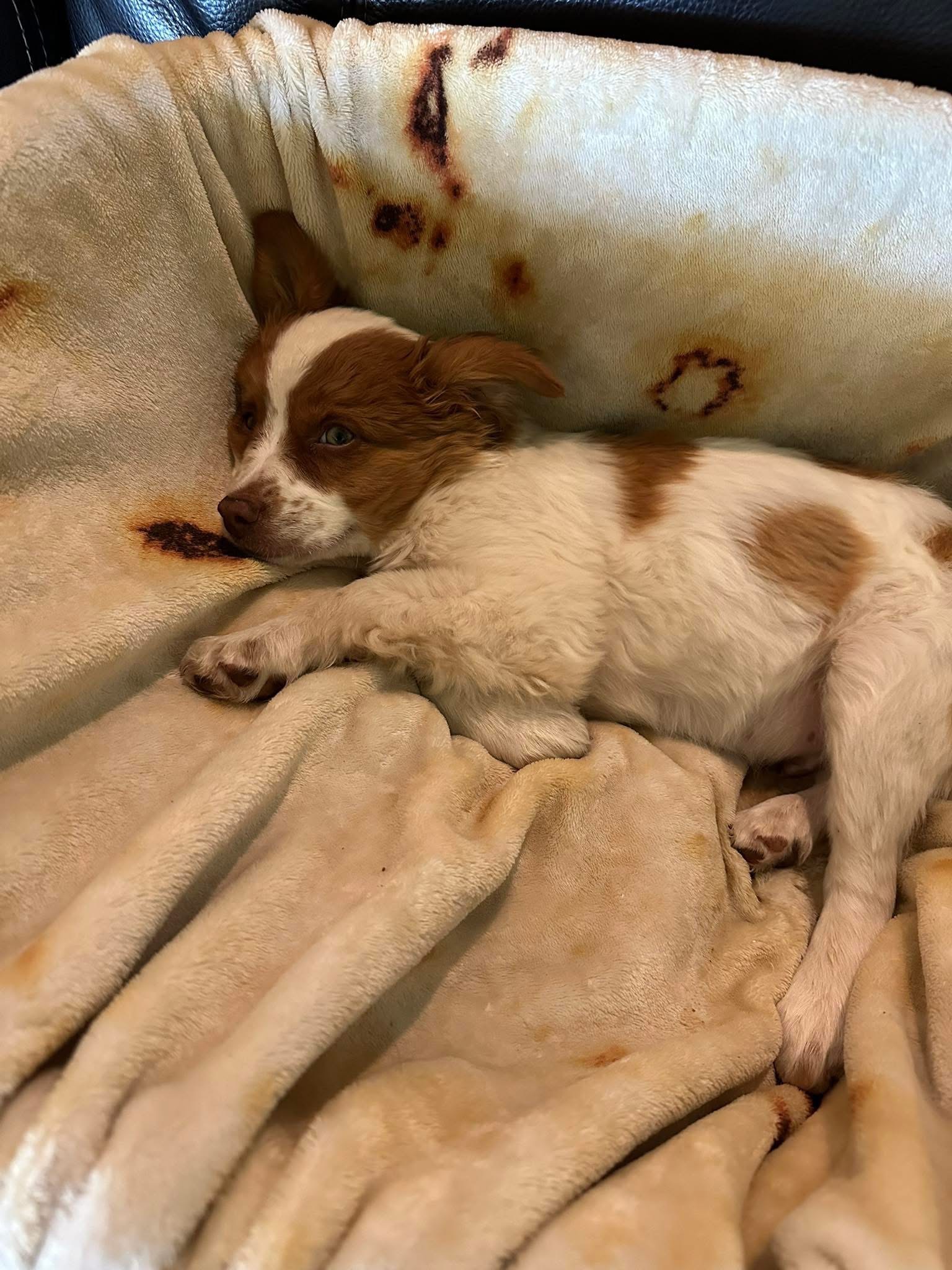 User-uploaded image 1