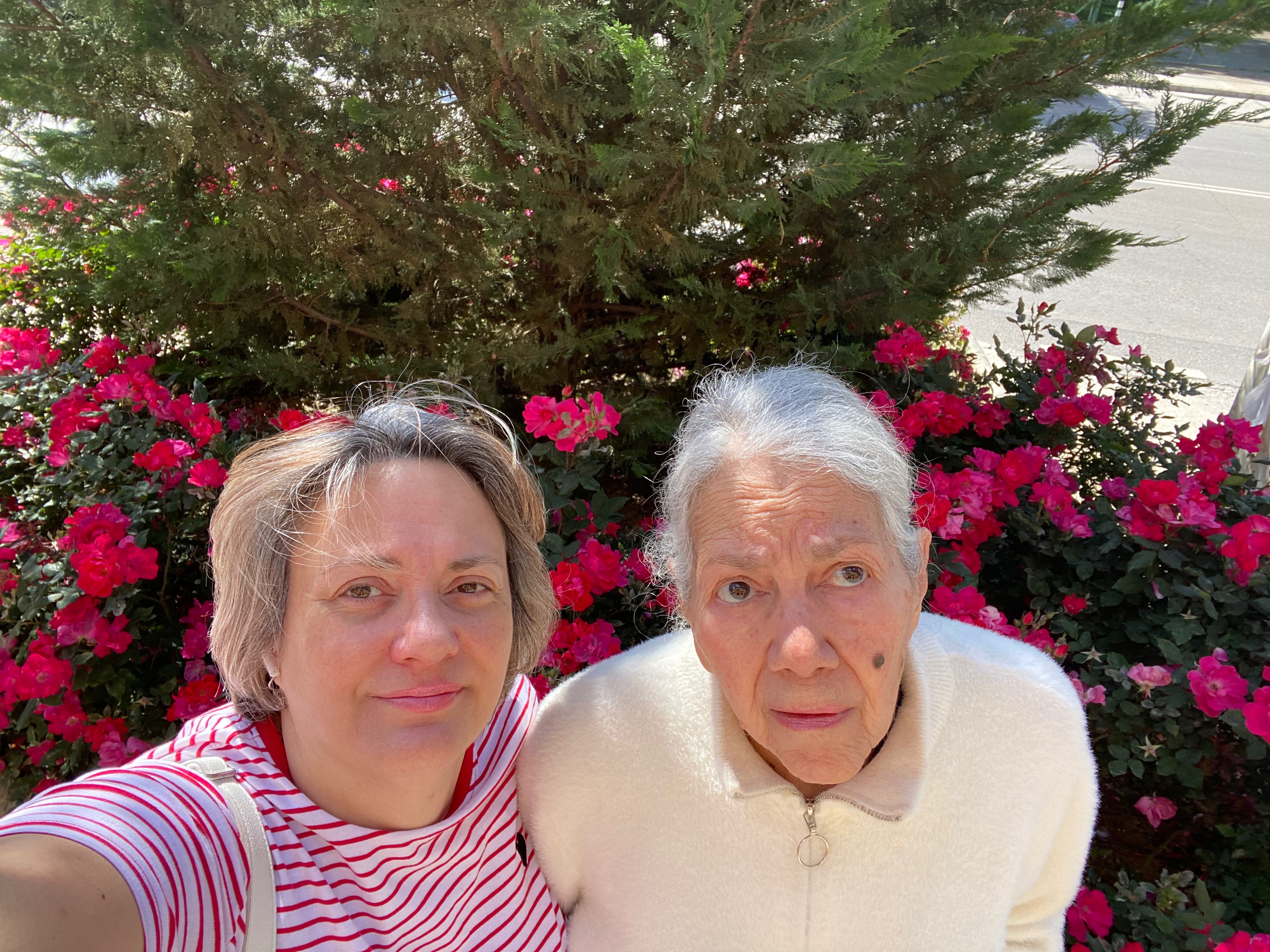 User-uploaded image 1