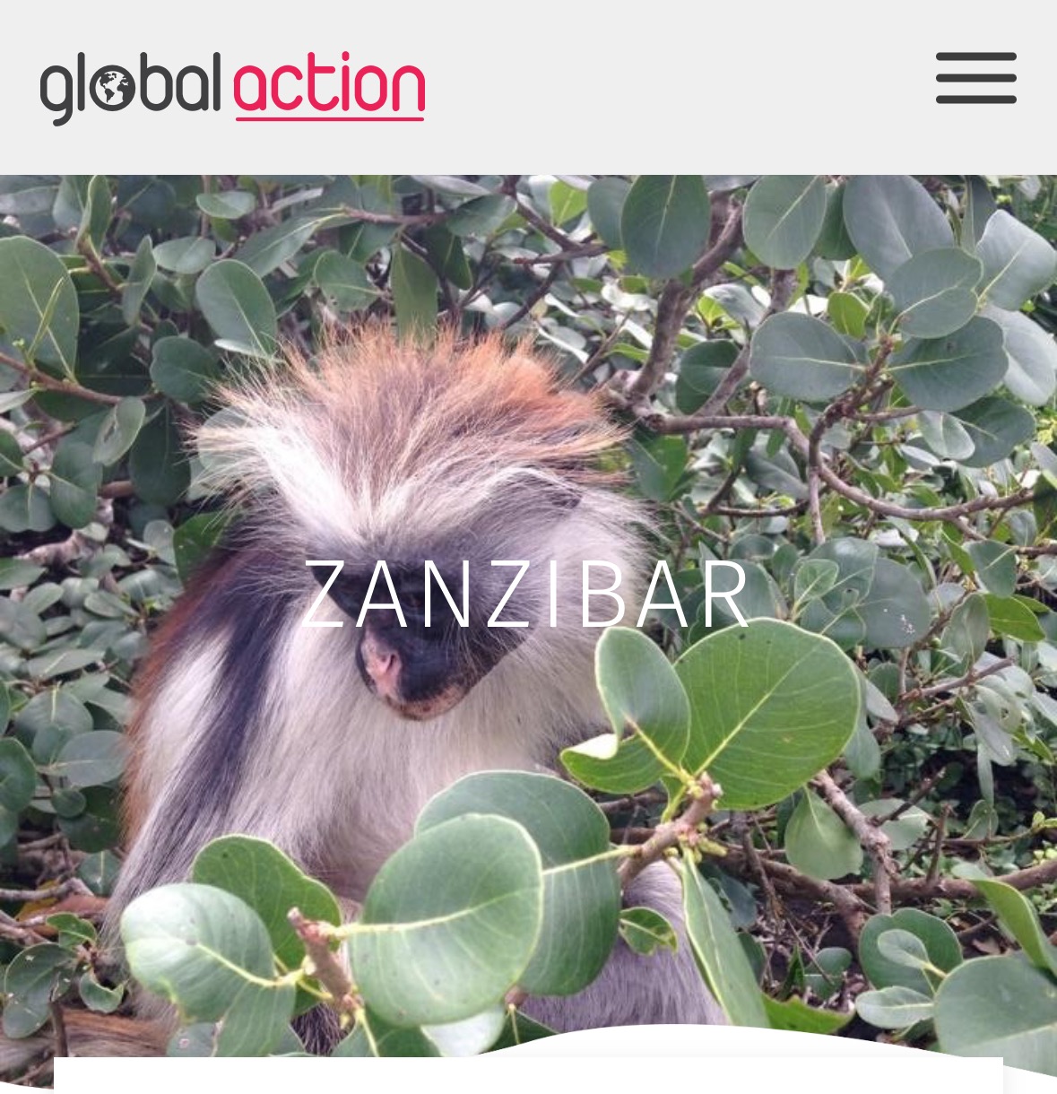 Zanzibar to help families, communities & the environment campaign photo, 4 of 5