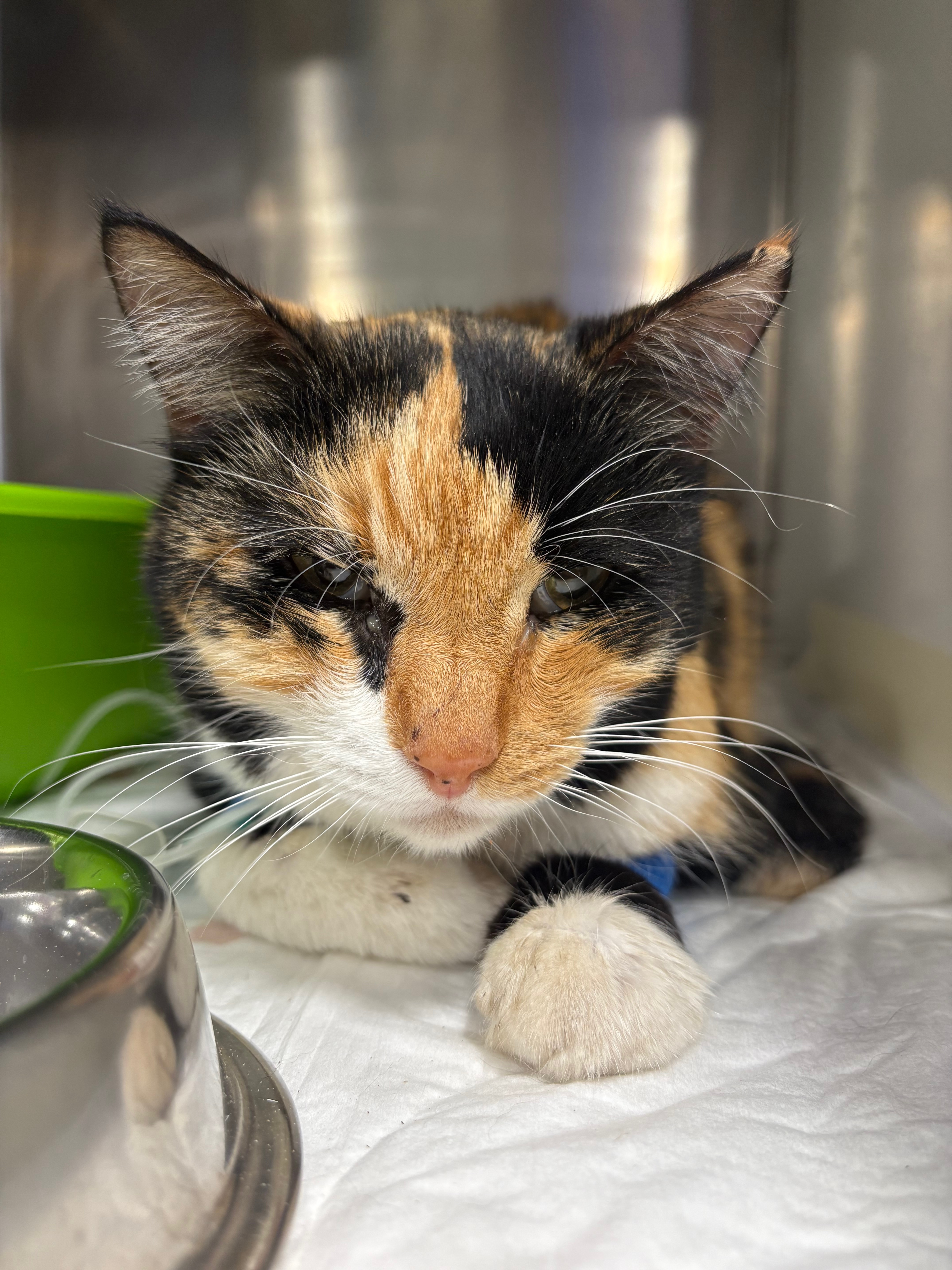 User-uploaded image 1