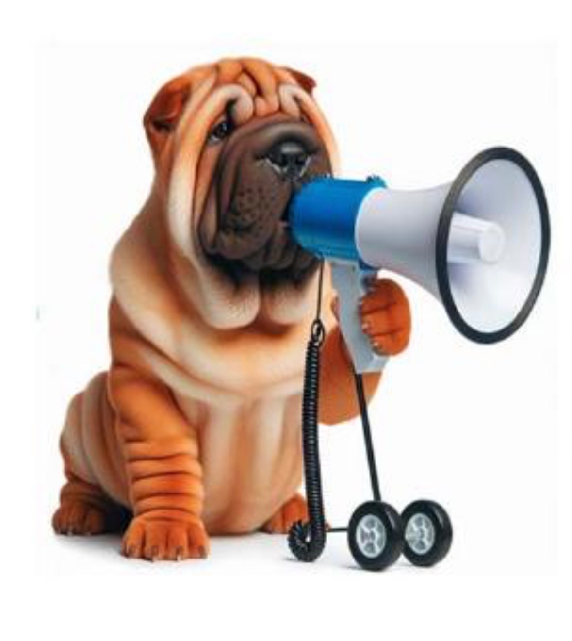 Chinese Shar-Pei Club of America campaign photo, 4 of 5