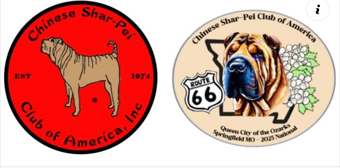 Chinese Shar-Pei Club of America campaign photo, 2 of 5