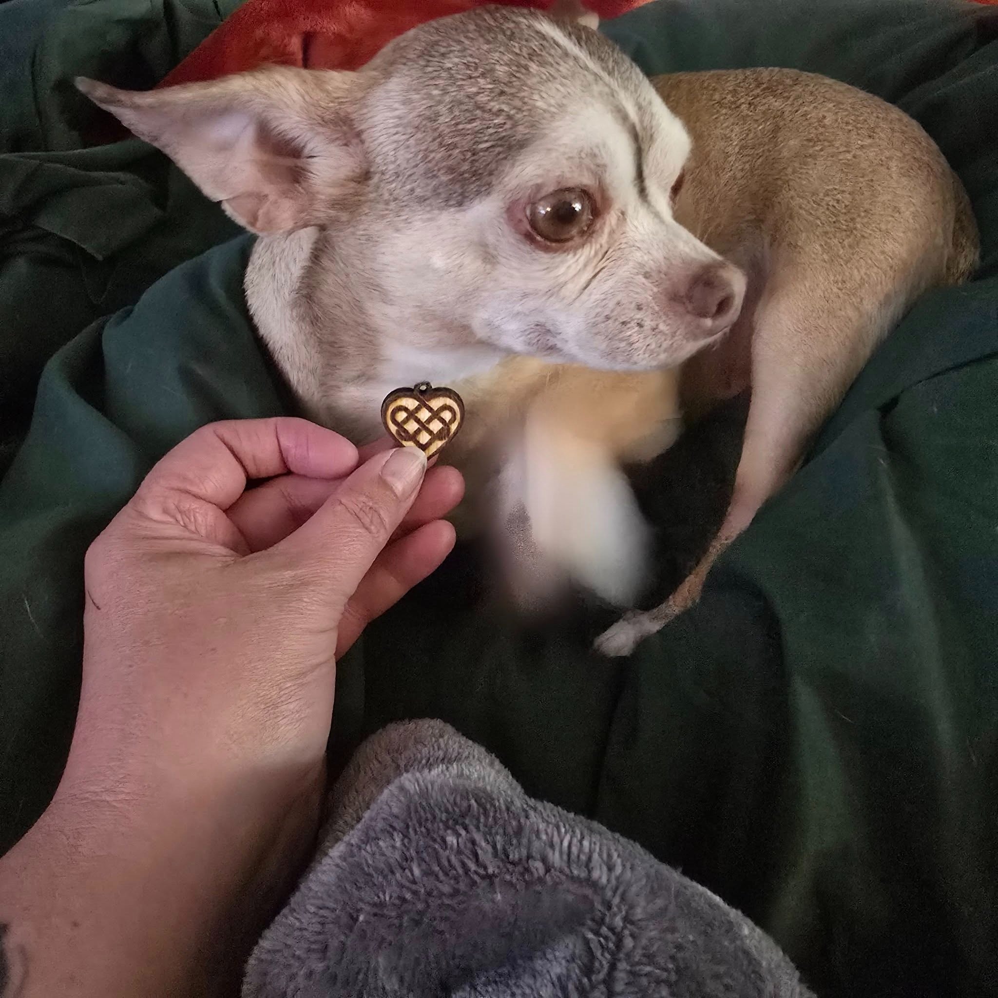She's Gone, Help us get through this terrible loss campaign photo, 4 of 6