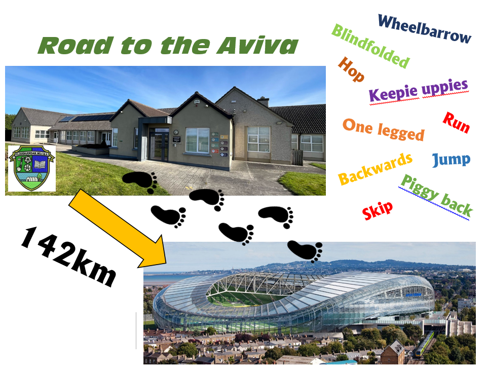 Cloughjordan No.1 N.S. Road to the Aviva campaign photo, 2 of 6