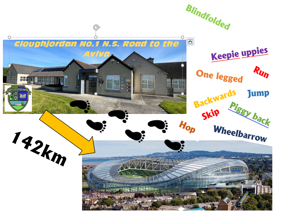 Cloughjordan No.1 N.S. Road to the Aviva campaign photo, 4 of 6