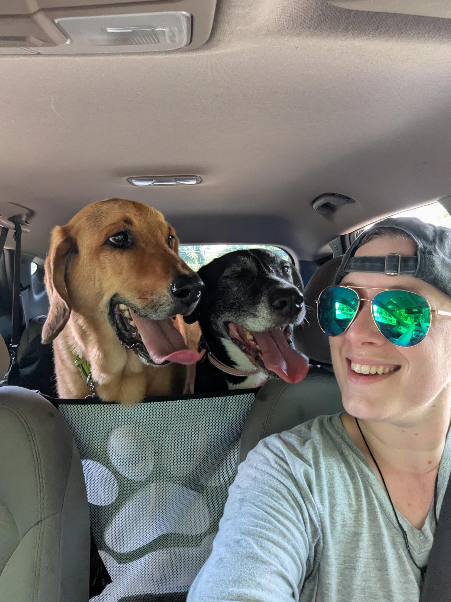 User-uploaded image 1