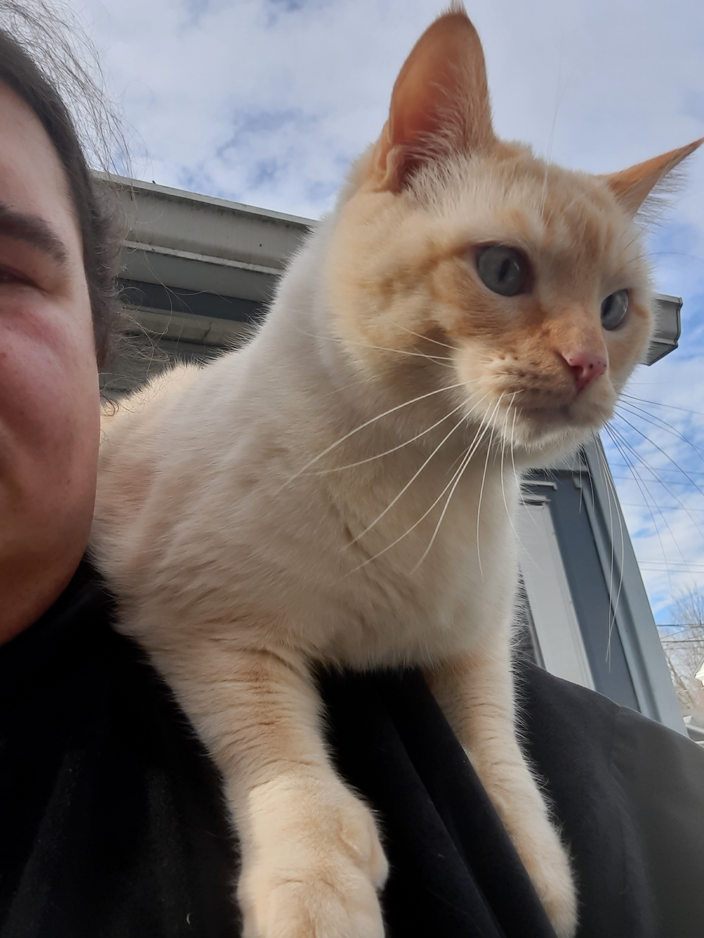 User-uploaded image 1