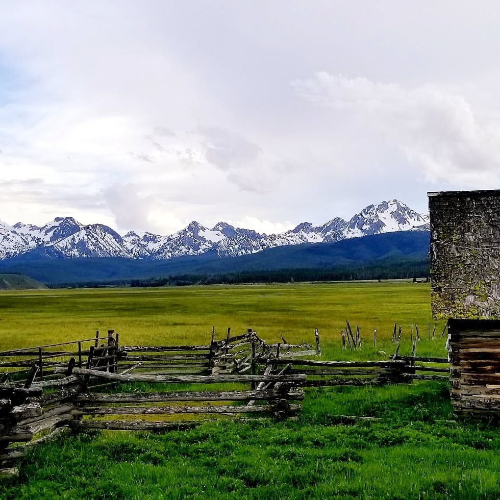 User-uploaded image 1