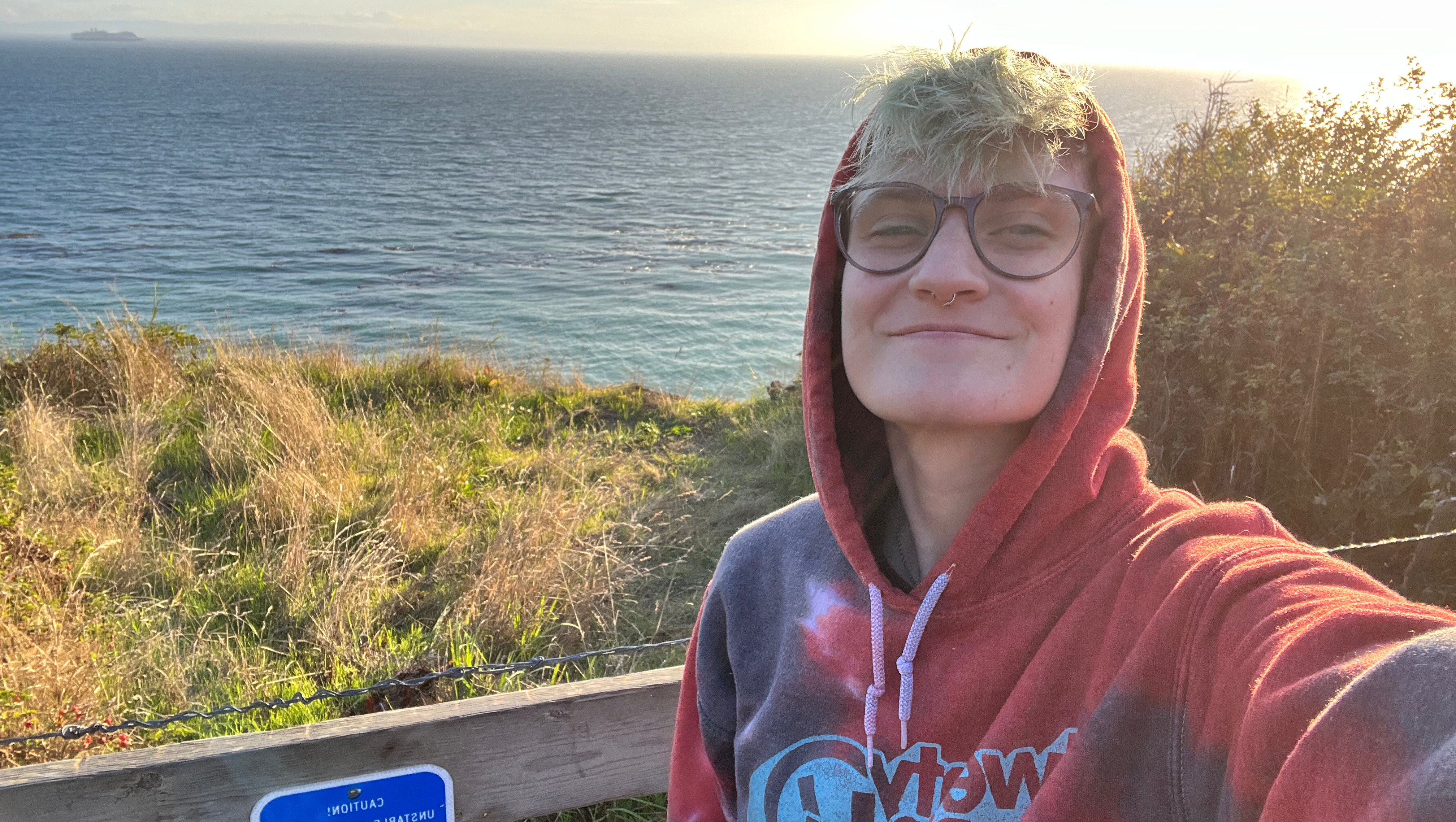 Support Alex's Journey to Top Surgery photo