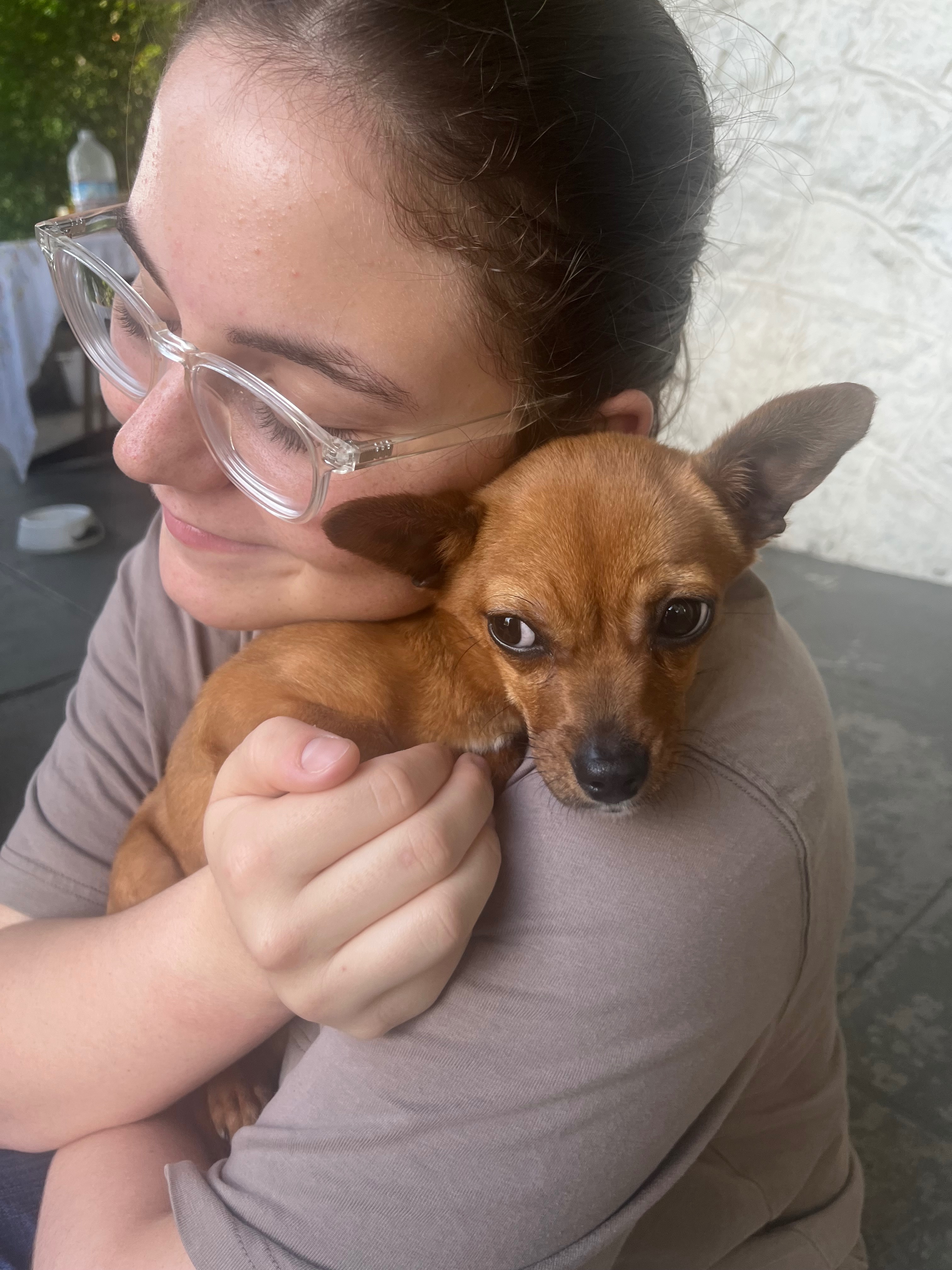From Abandoned to Loved: Support Fiona campaign photo, 2 of 7