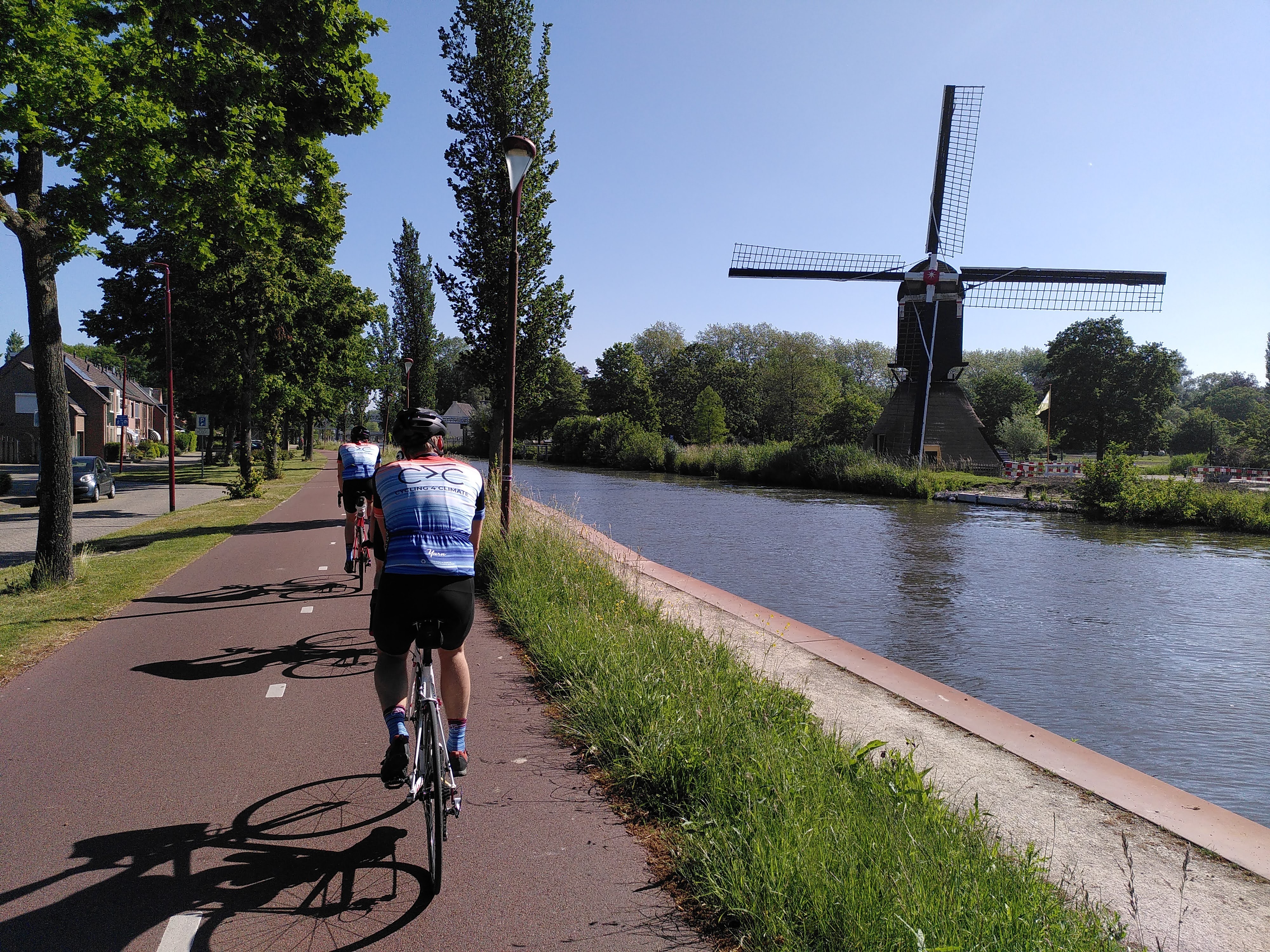 Foto van campagne 375 kilometer, 375 bomen, 2 van 3