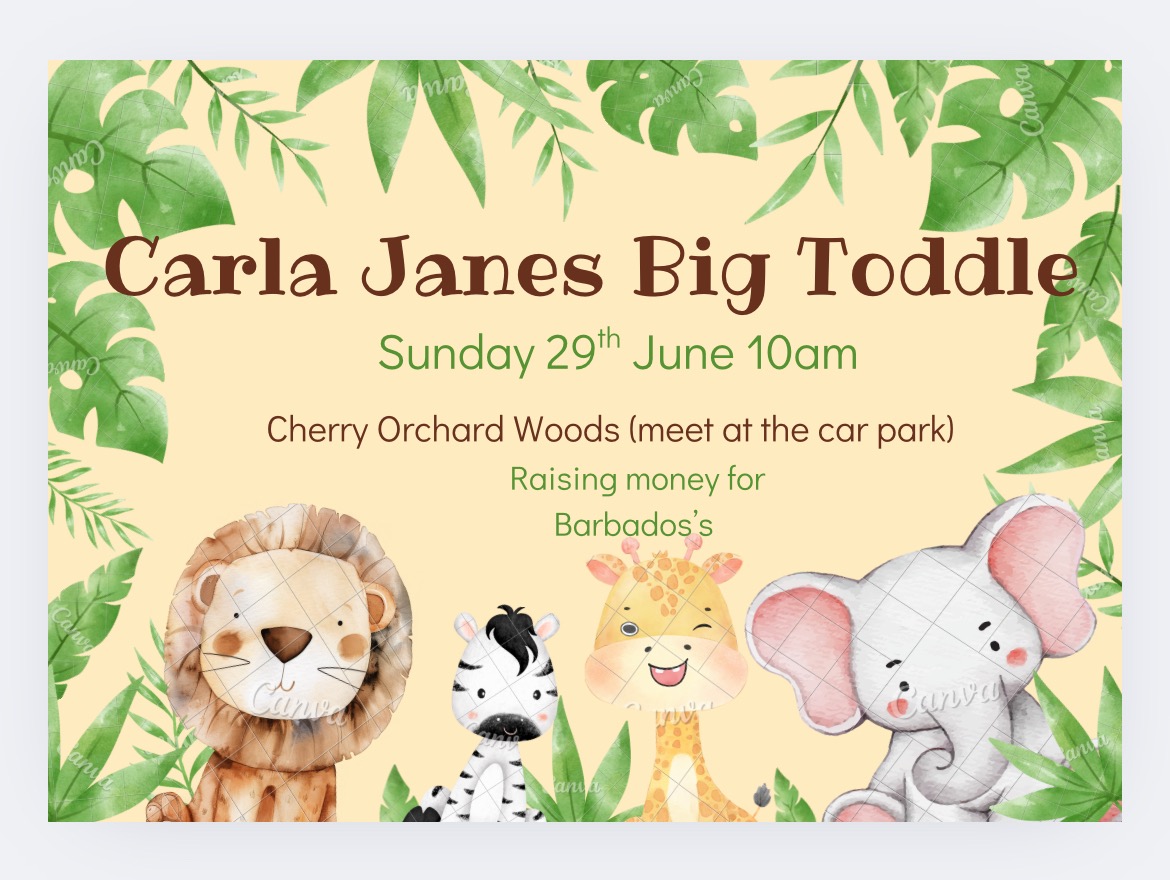 User-uploaded image 1