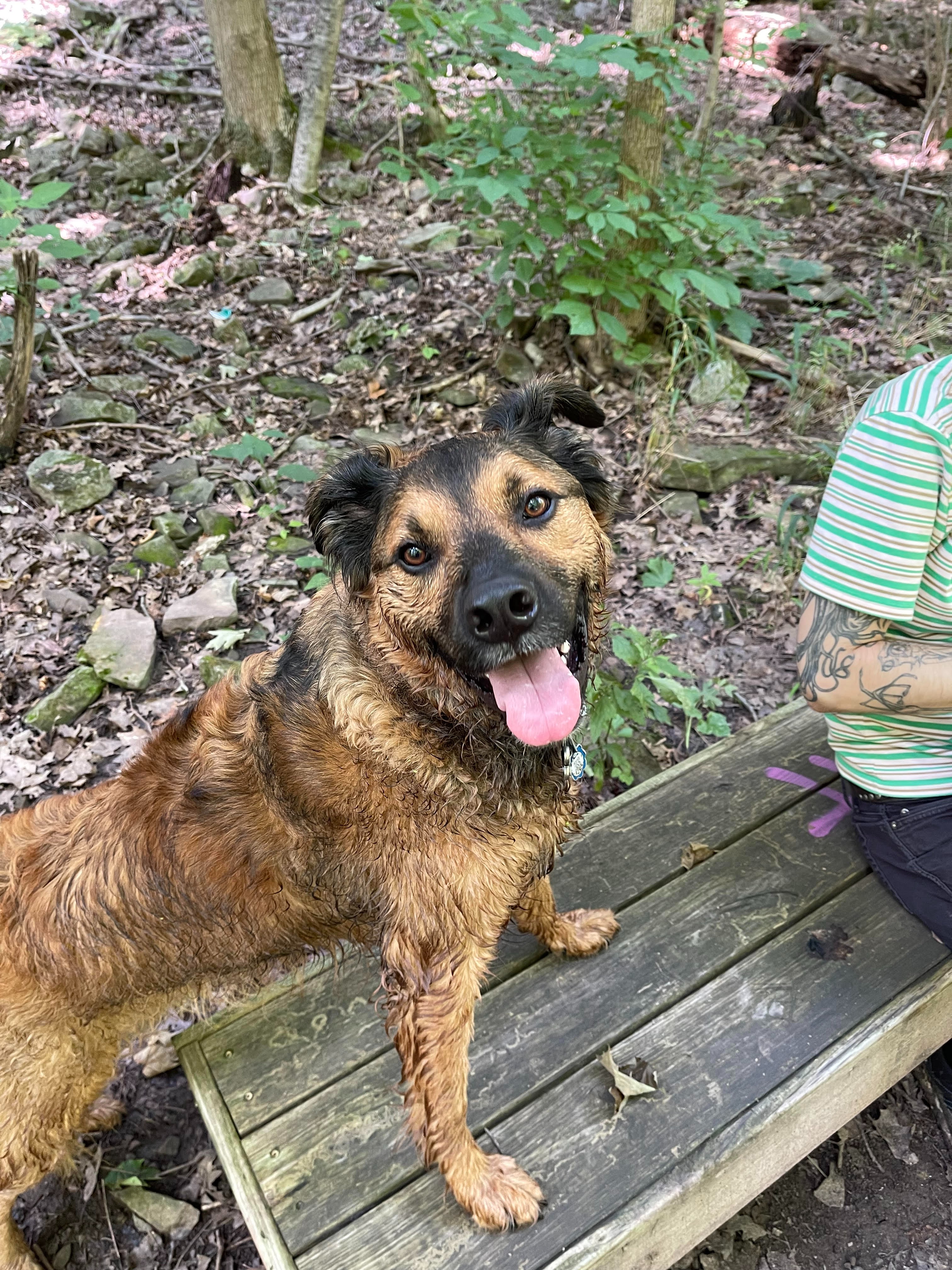 Help Winston Battle His Health Crisis campaign photo, 4 of 8
