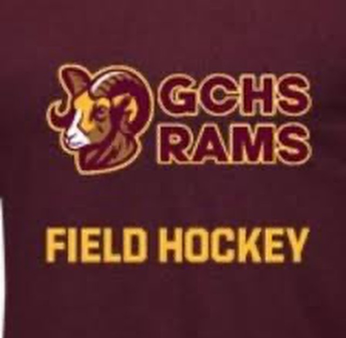 Donate to Empower Gloucester Catholic Athletes campaign photo, 4 of 6
